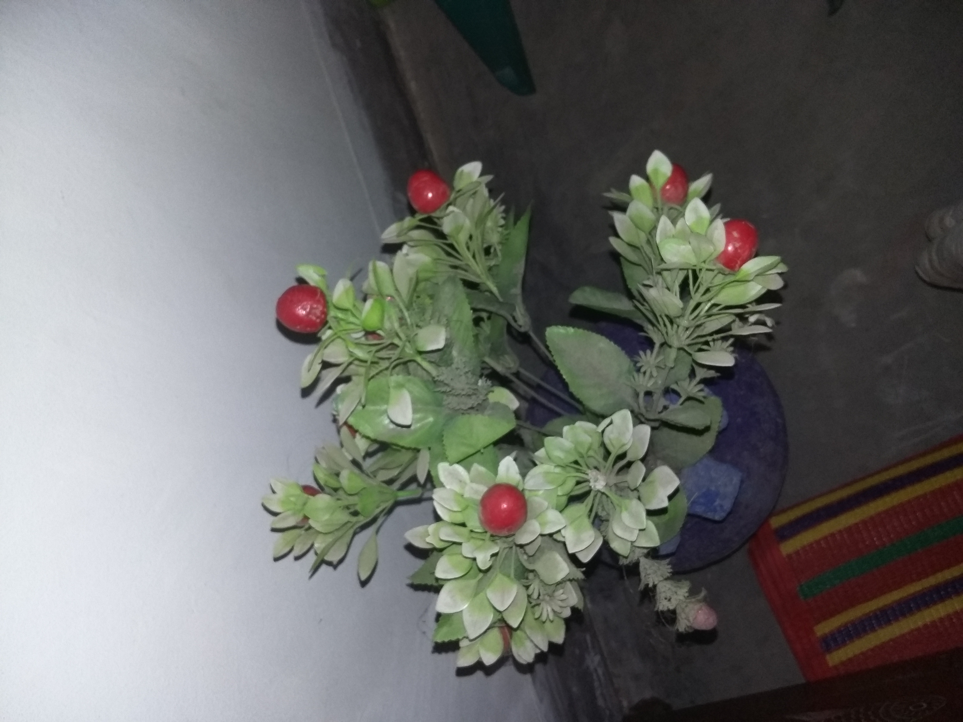 20180818_205610.jpg
