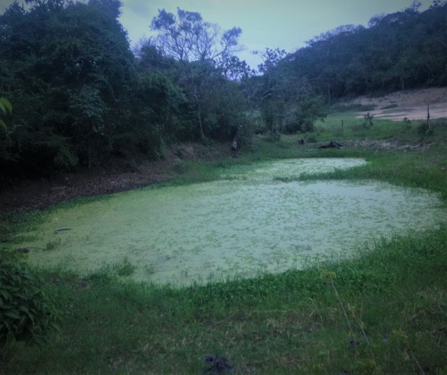 foto 16.jpg