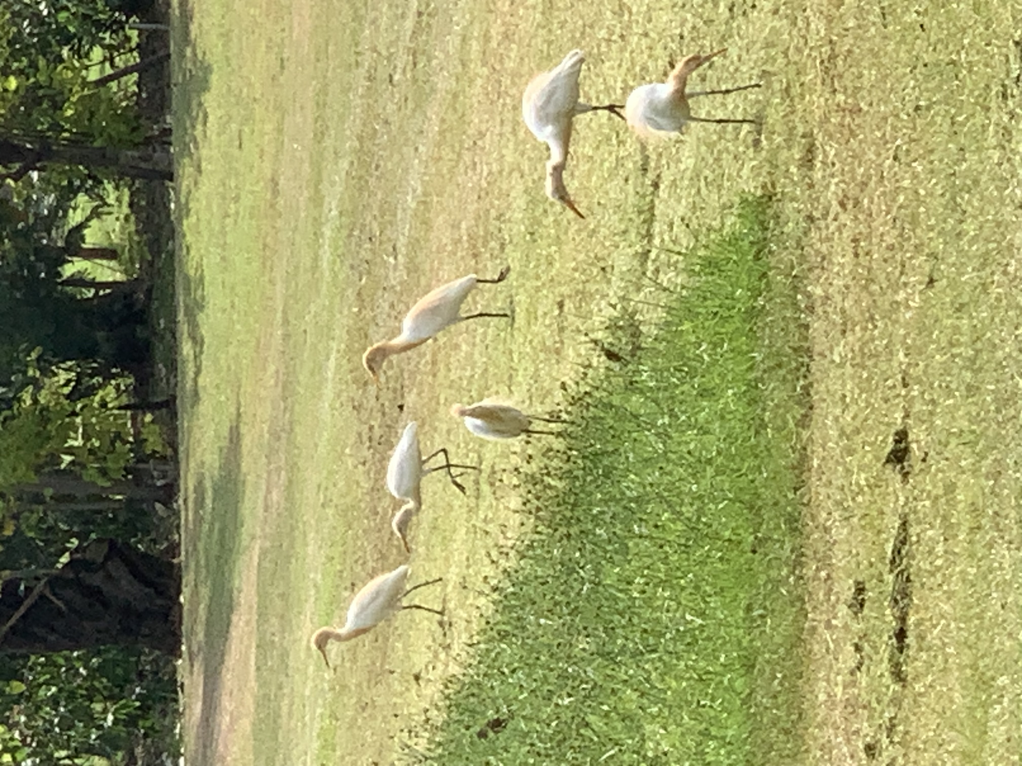 birdwatching spots20.jpg