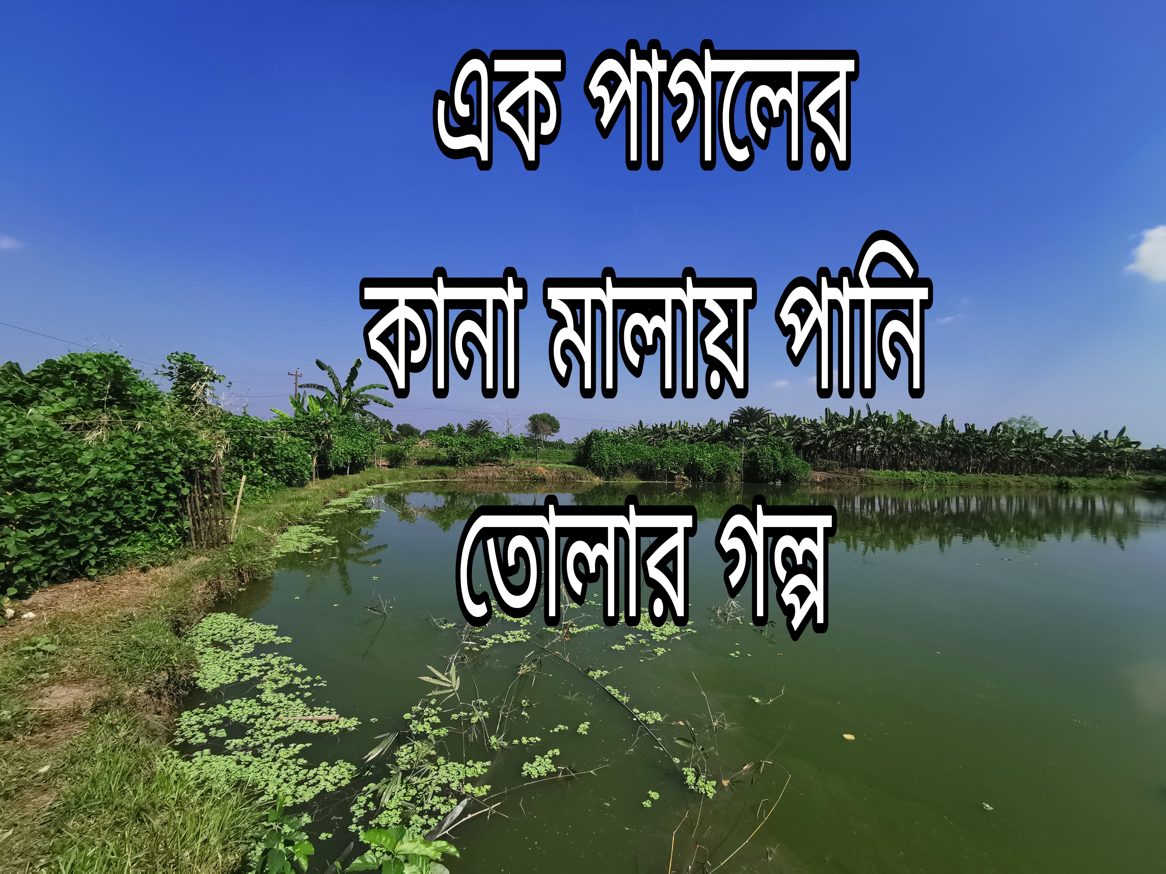 Picsart_24-11-11_08-39-38-392.jpg