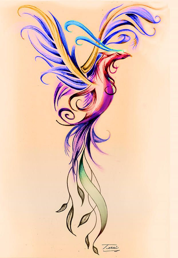 77a44eab5117f46b68cd166ebb026e76--phoenix-drawing-watercolor-tattoo-phoenix.jpg