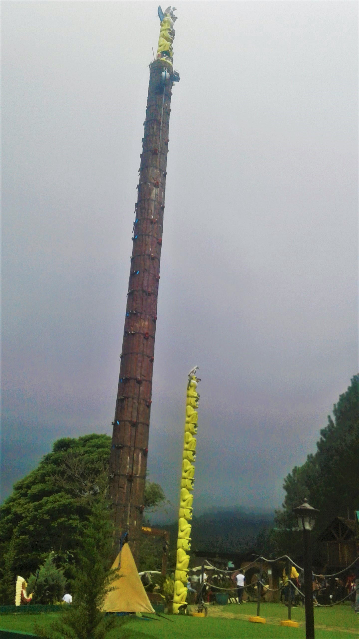 20180529_153310.jpg