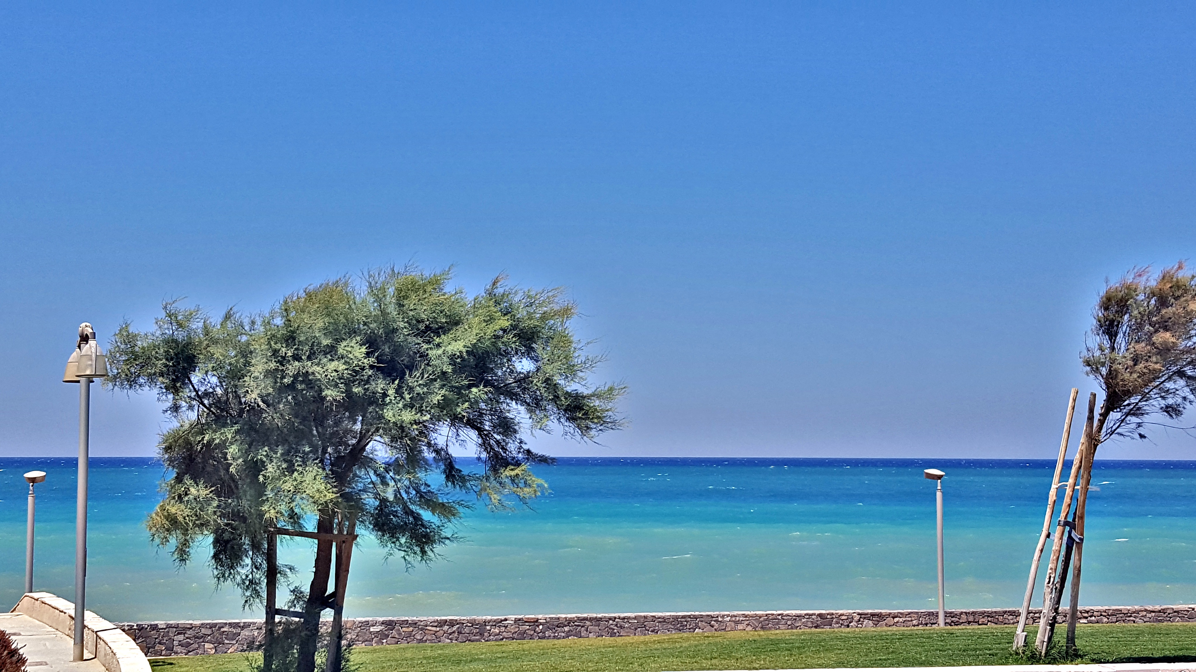 20180810_001733.jpg