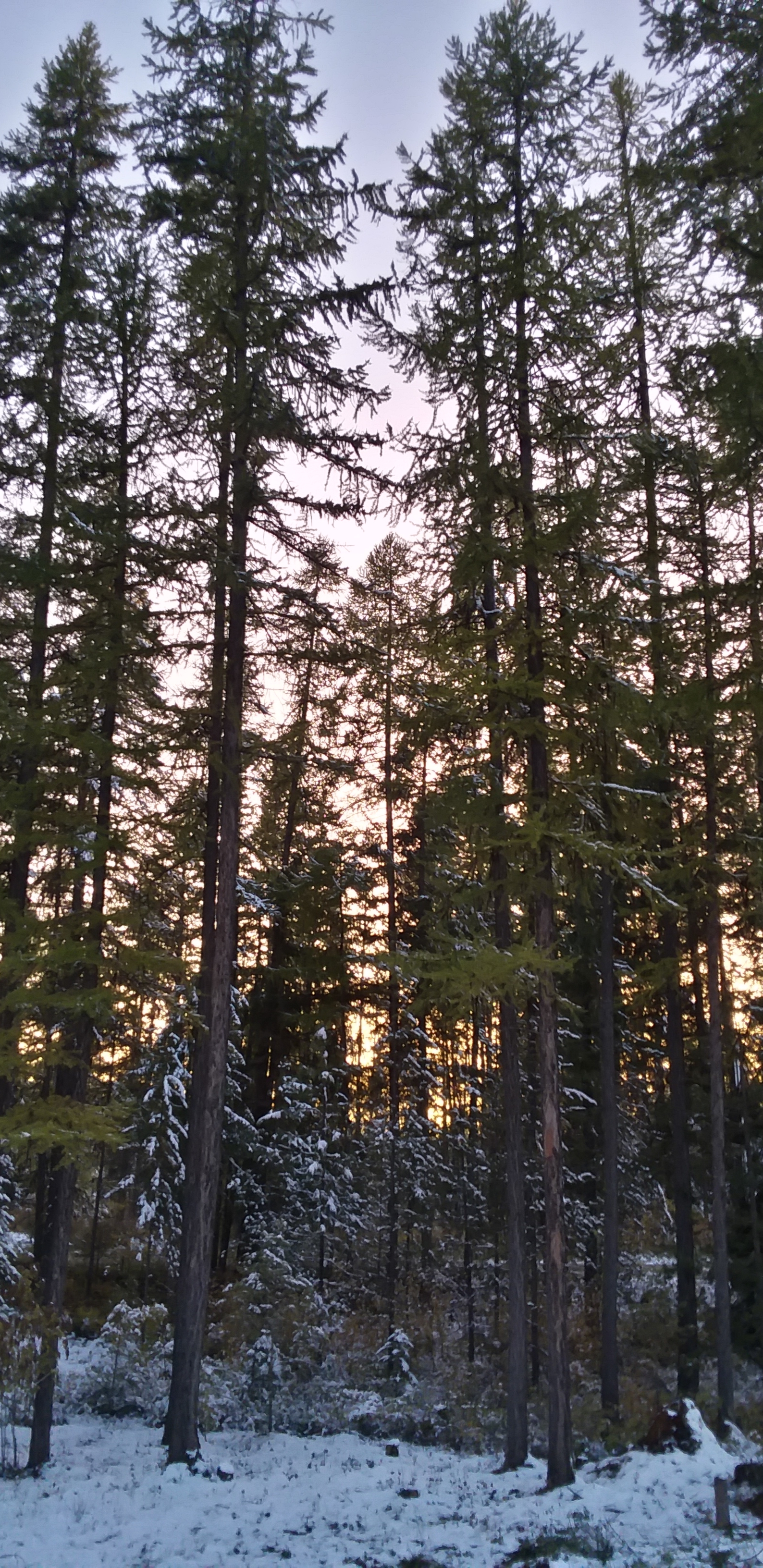 20191105_152432.jpg