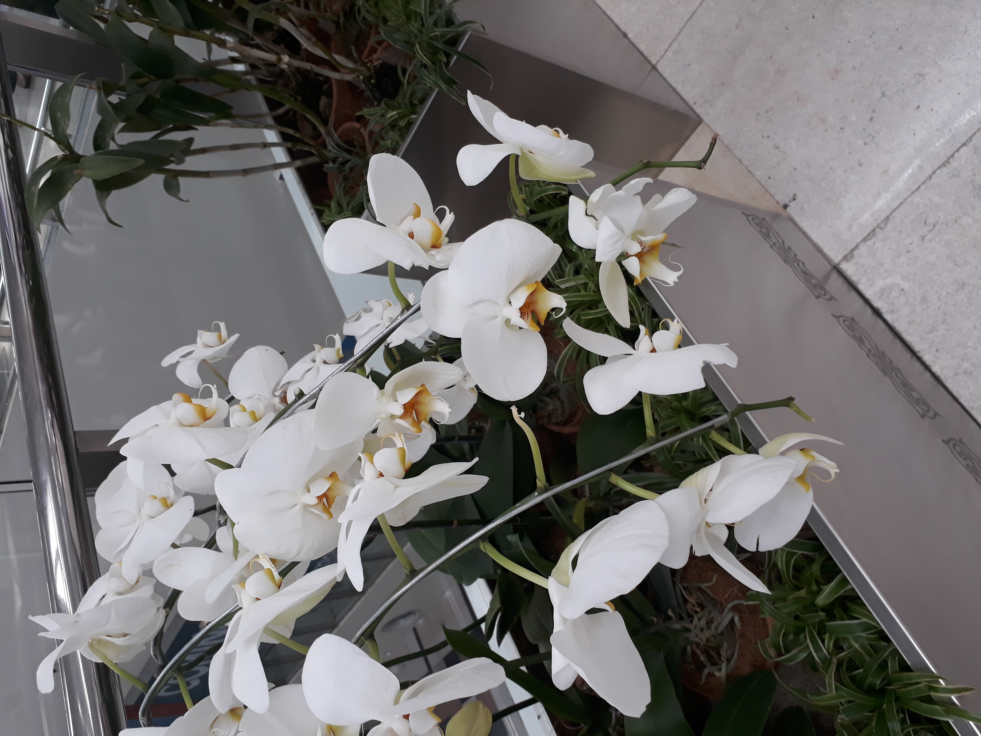 20180214_110922.jpg