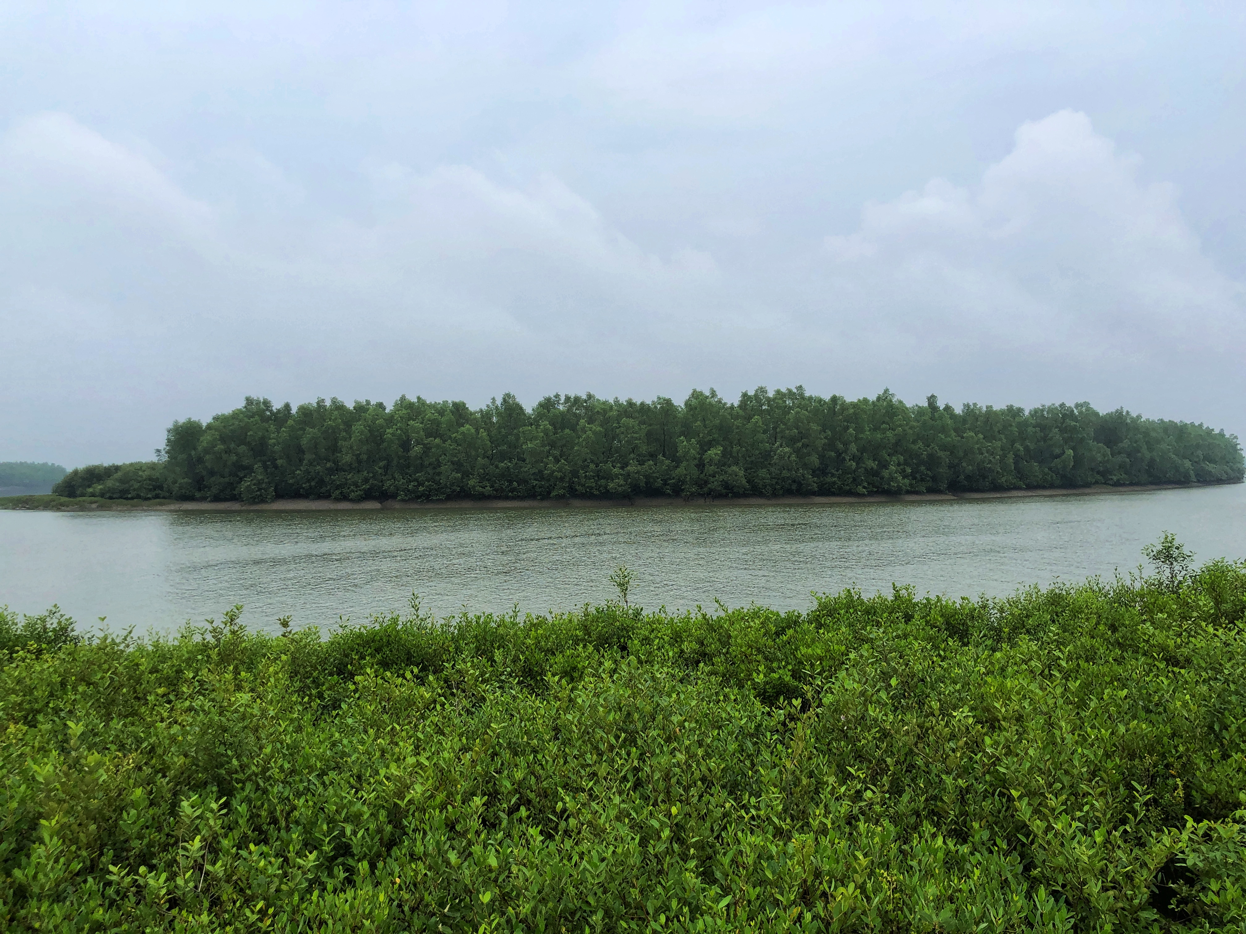 IMG_8787-01.jpeg
