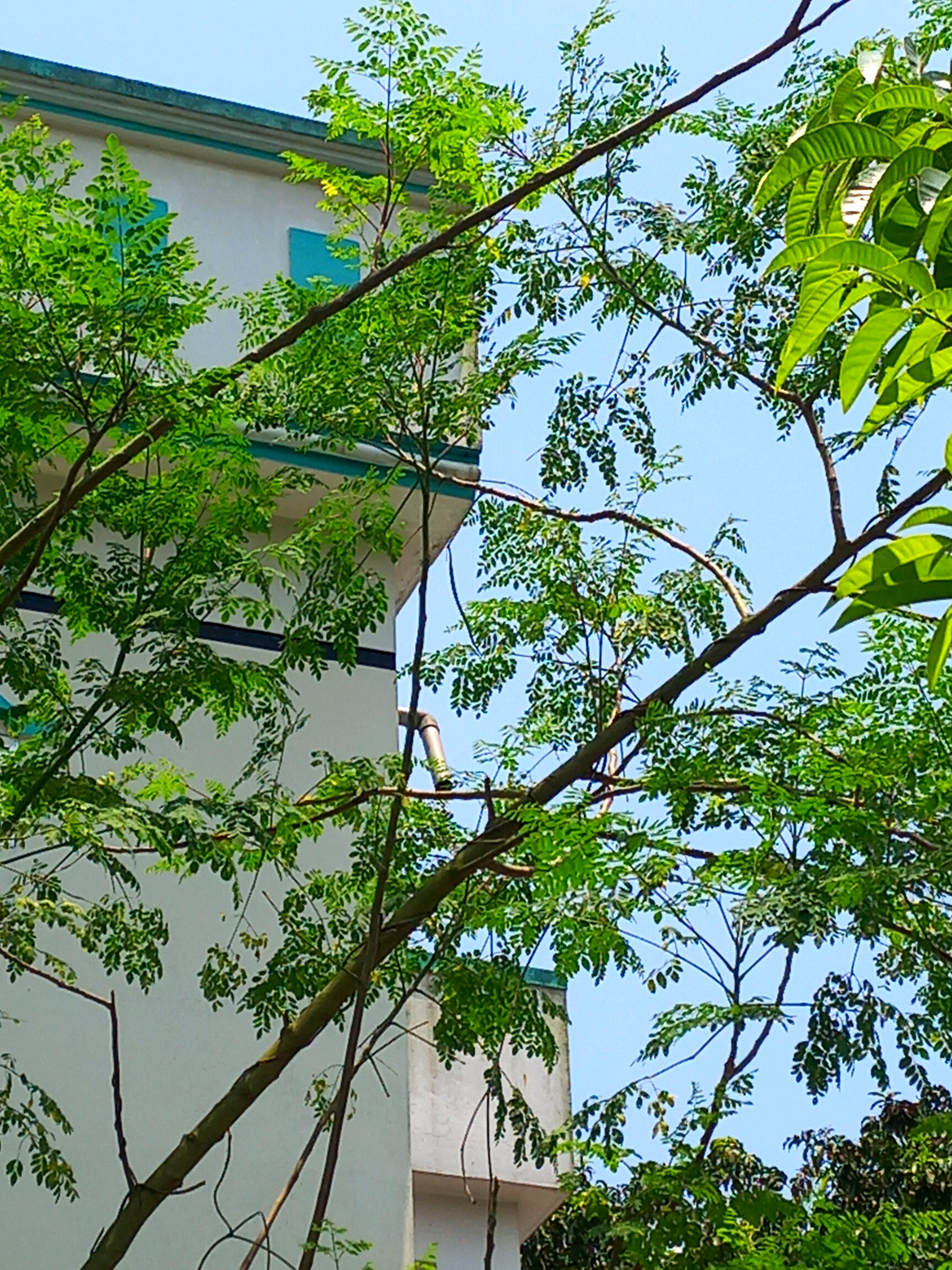 20260512_122221.jpg