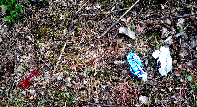 bild2.jpg