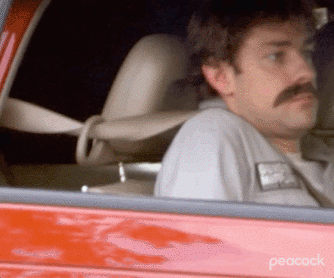 giphy (1).gif