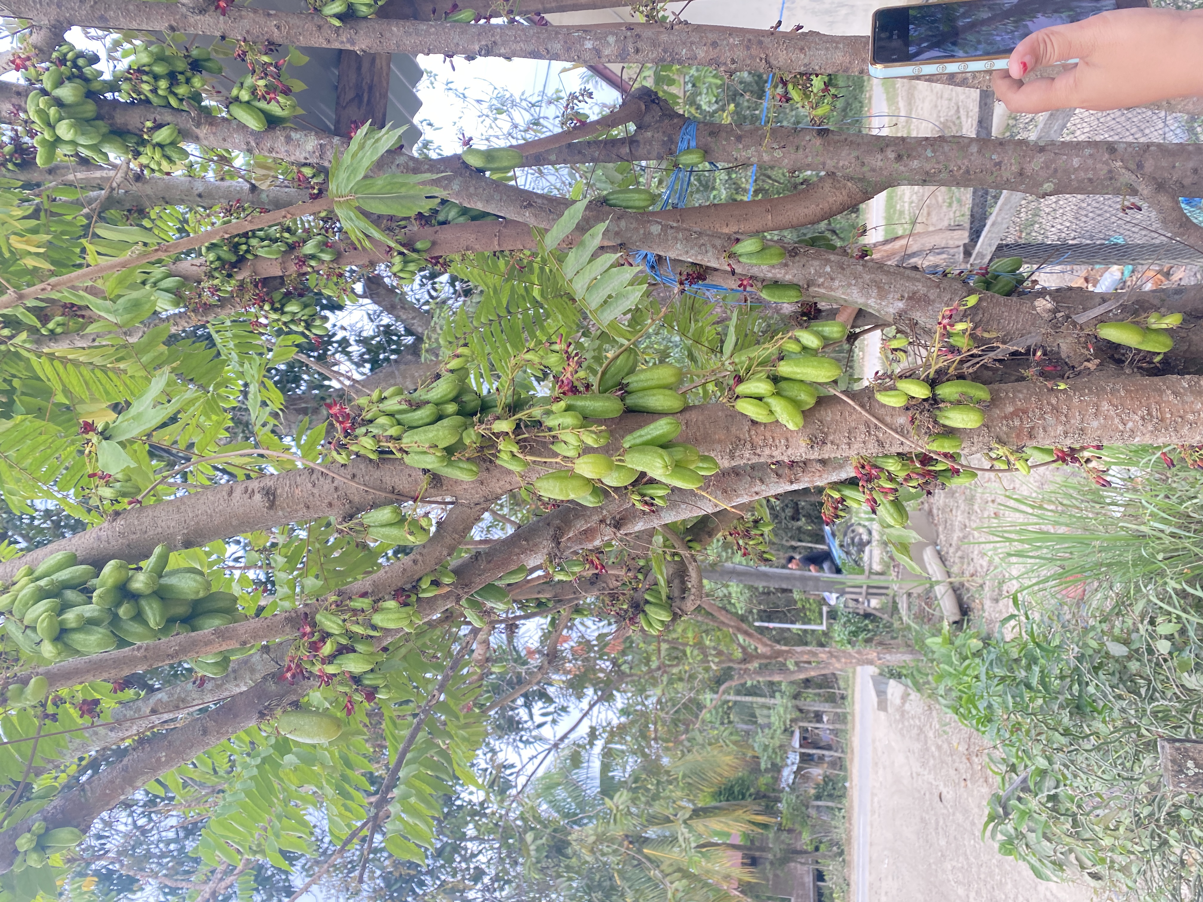 IMG_8143.jpeg