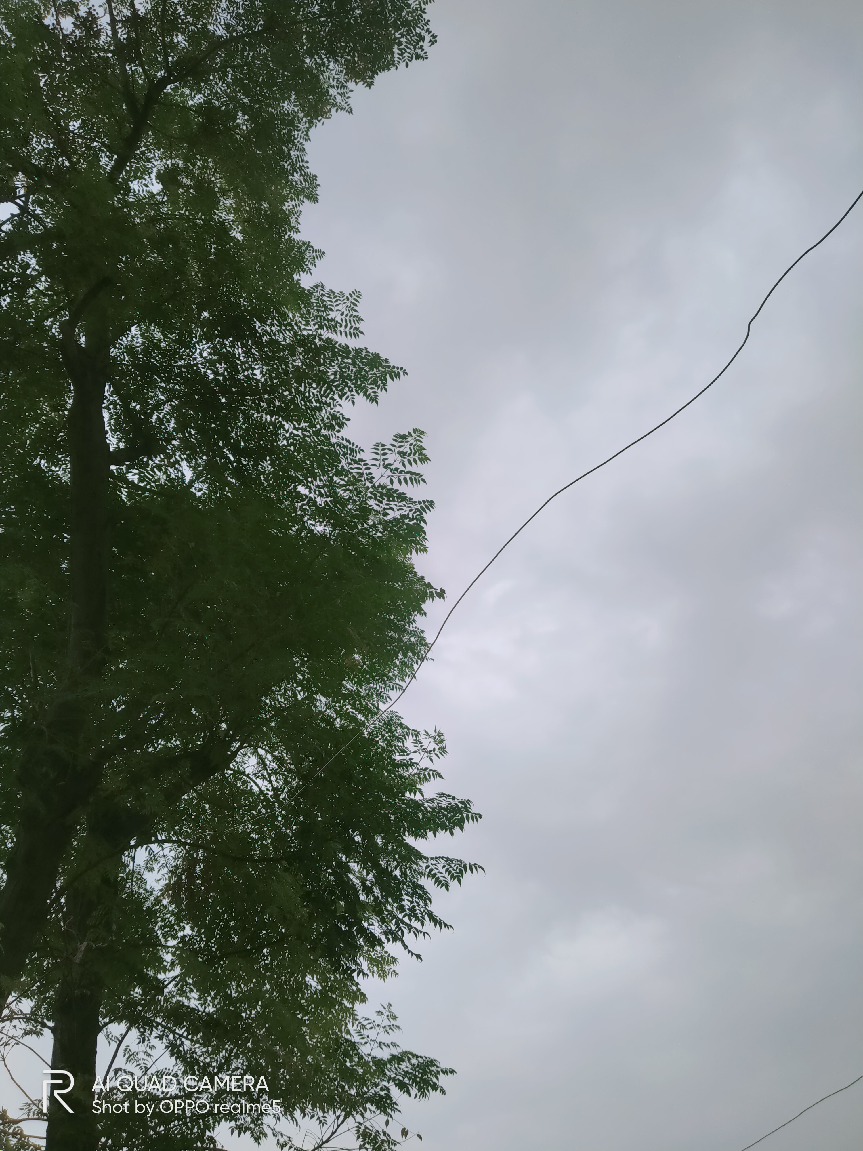 IMG20210908075907.jpg