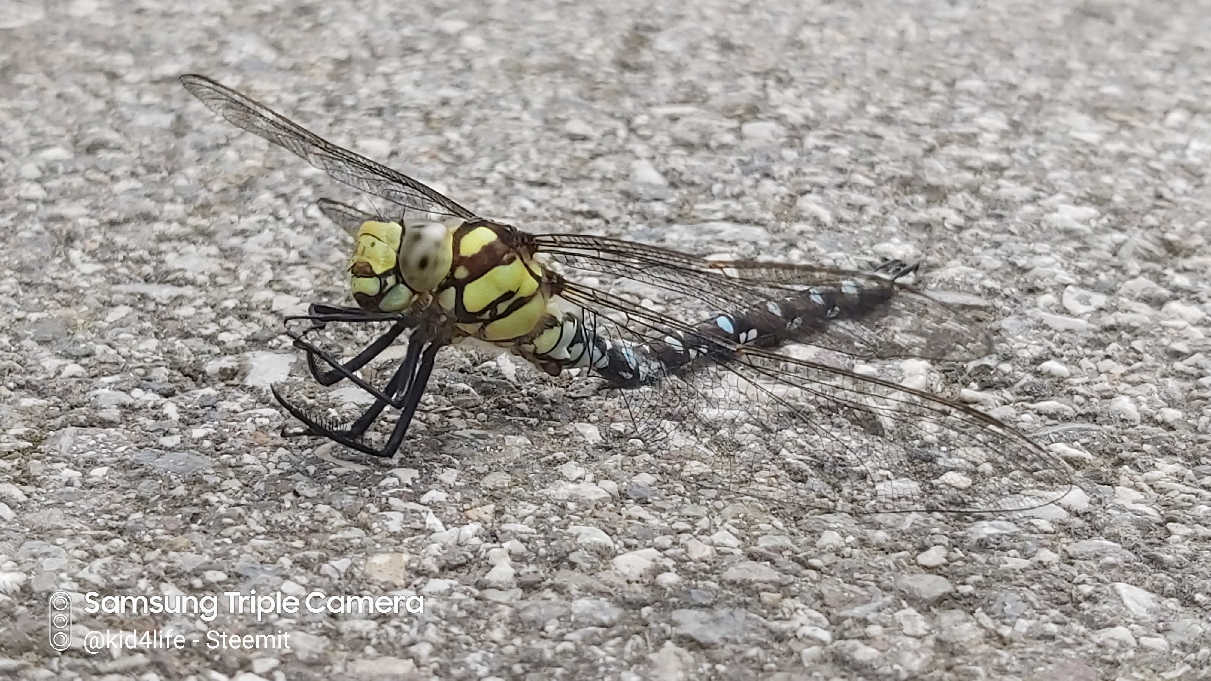 20190829_165024.jpg