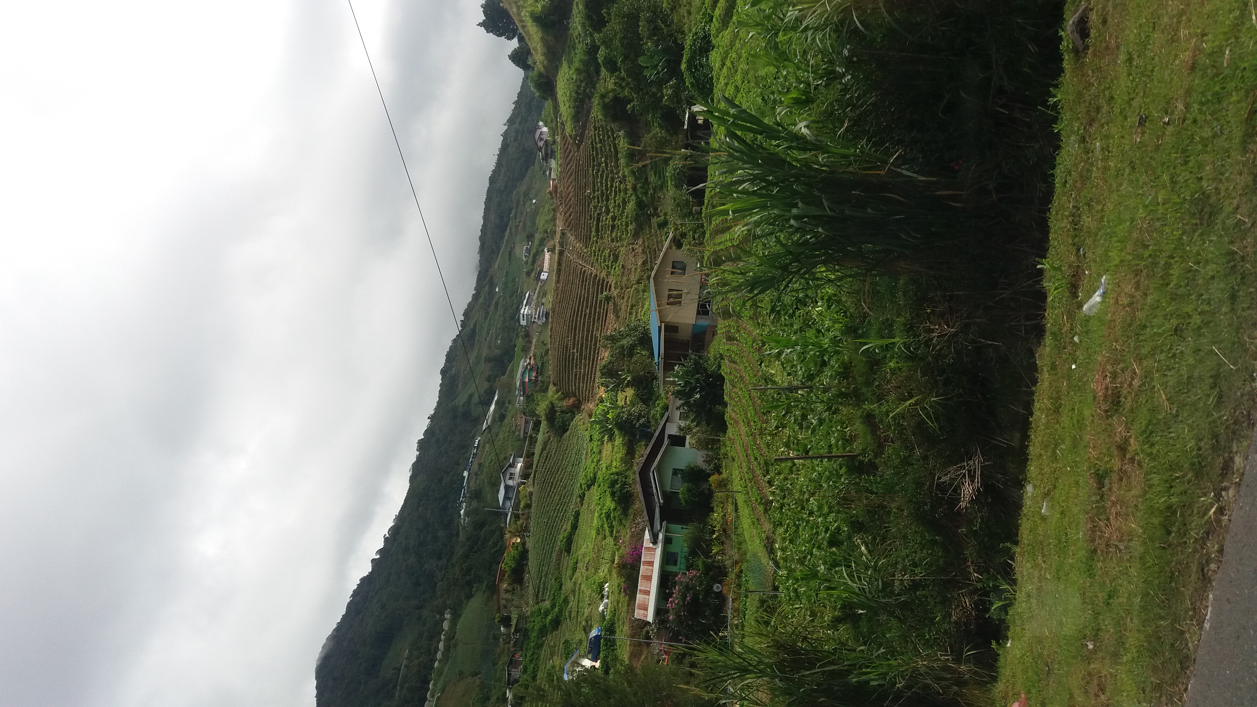 20180528_091419.jpg