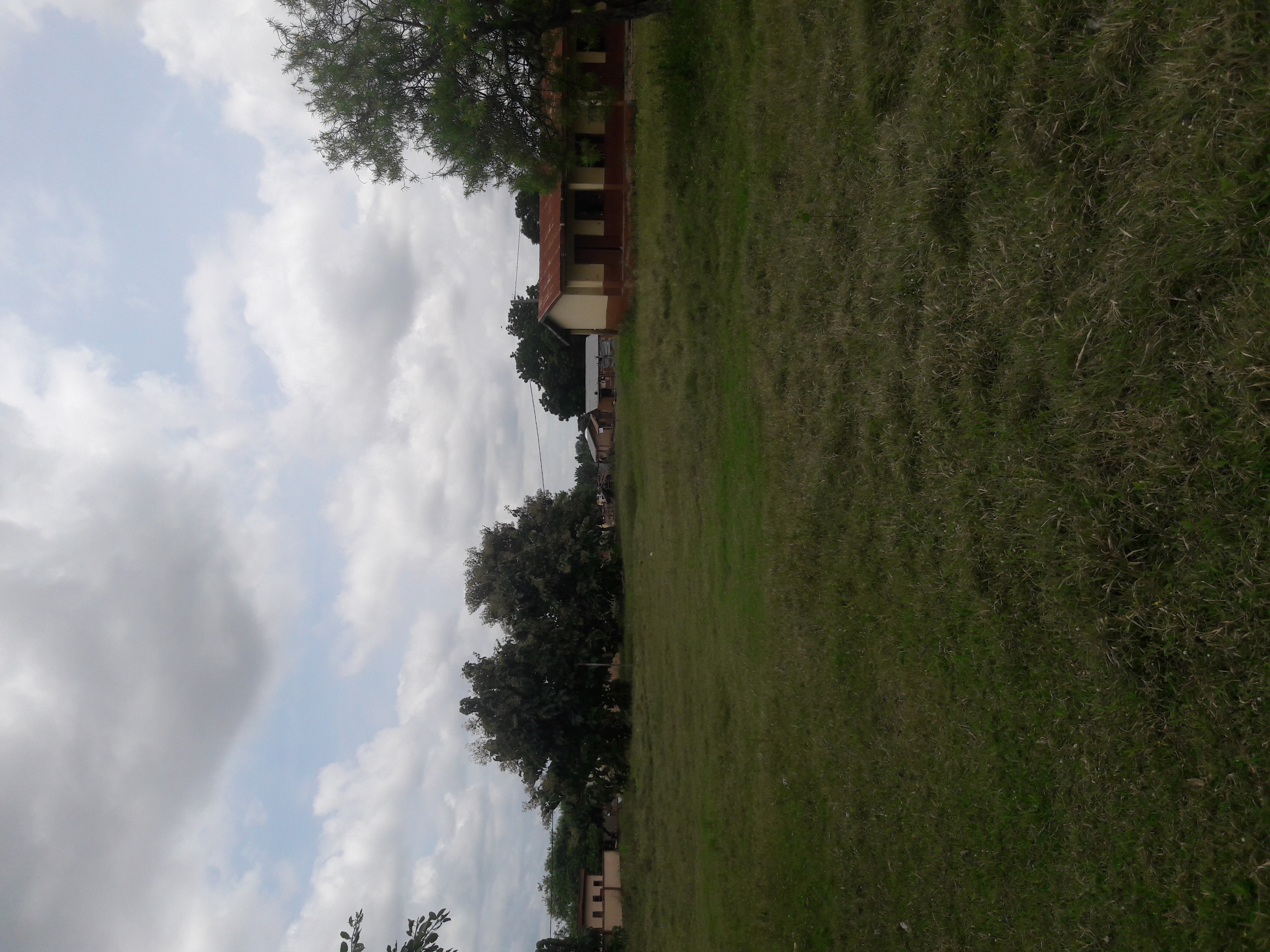 20200924_114311.jpg