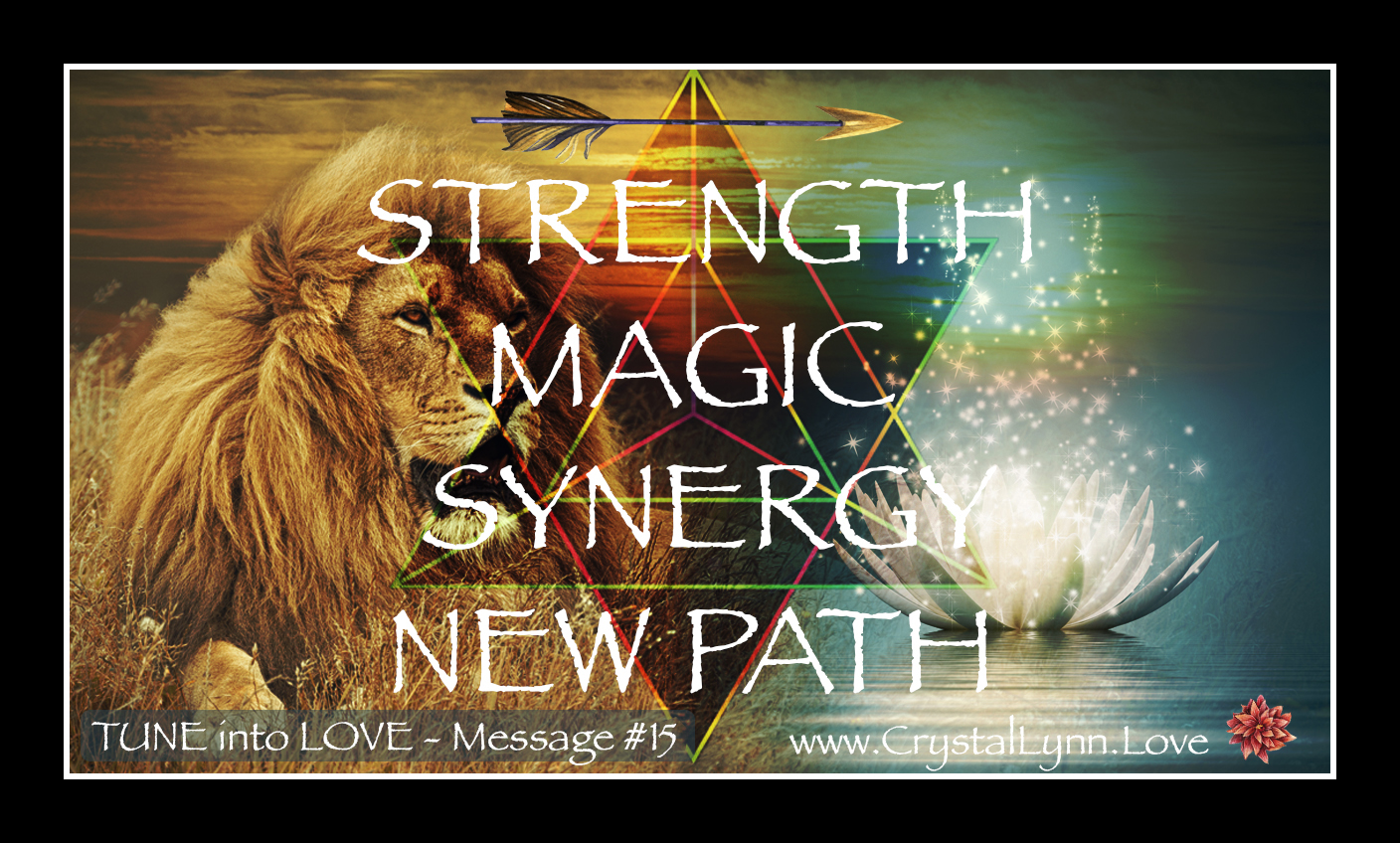 message15 copy.jpg