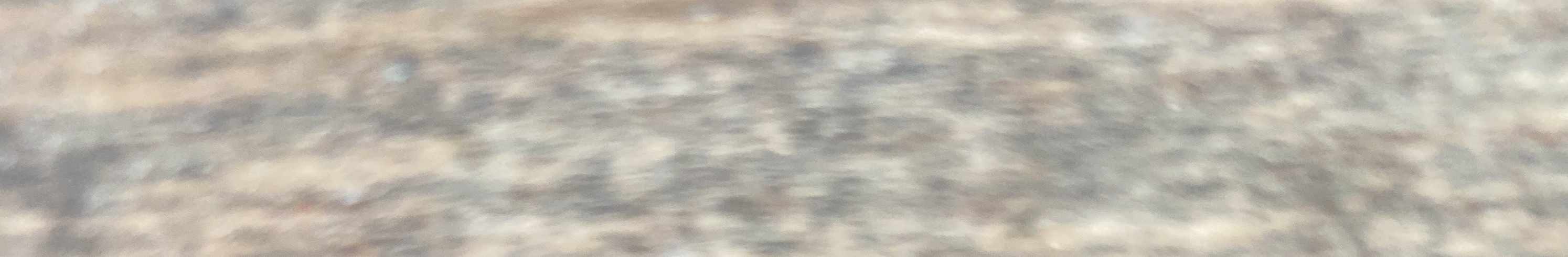 65FFD113-E39A-4373-876B-37B305511604.jpeg
