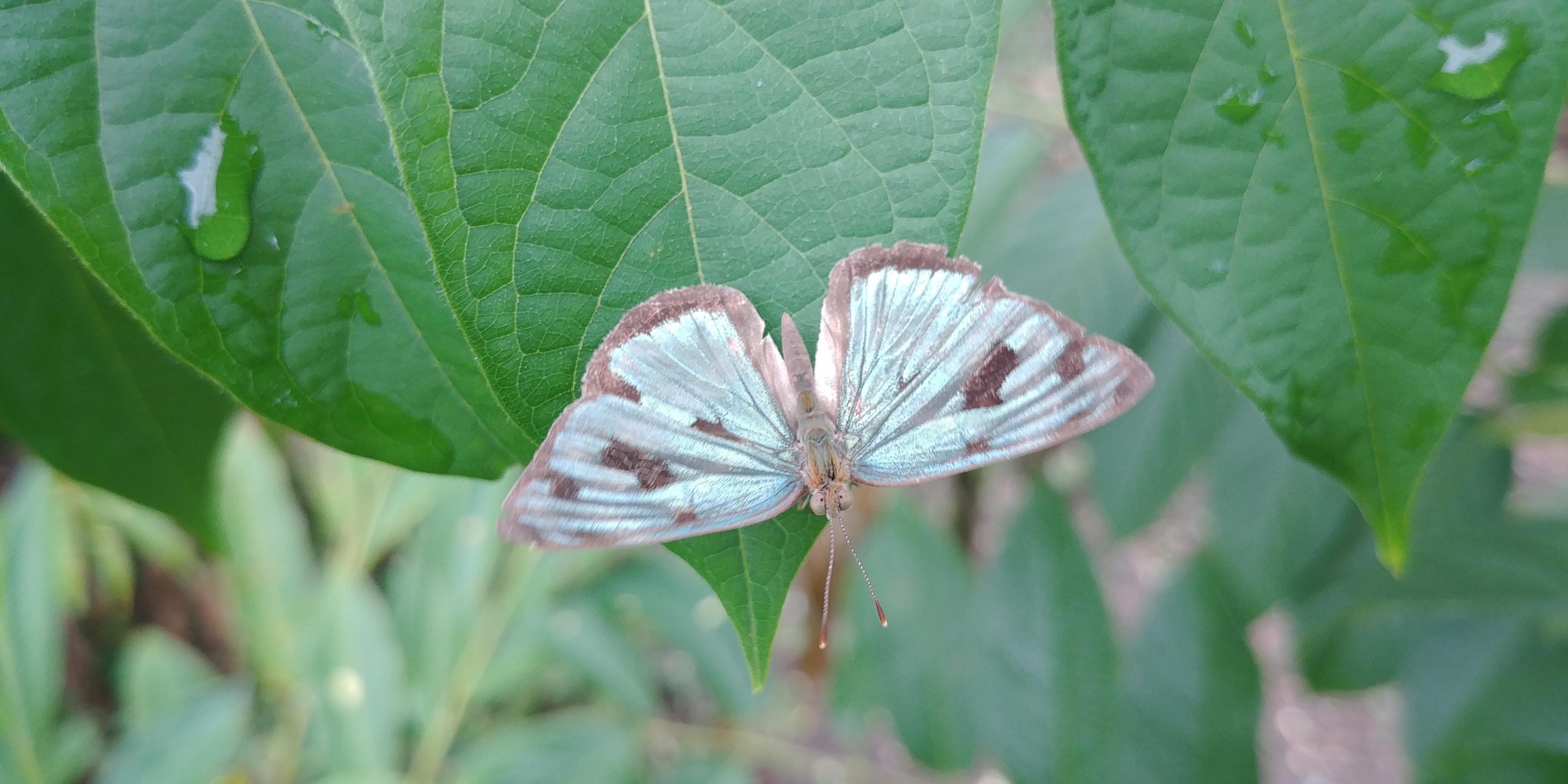 20190809_083357.jpg