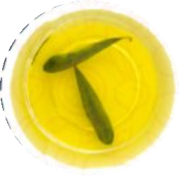 Olive oil.png