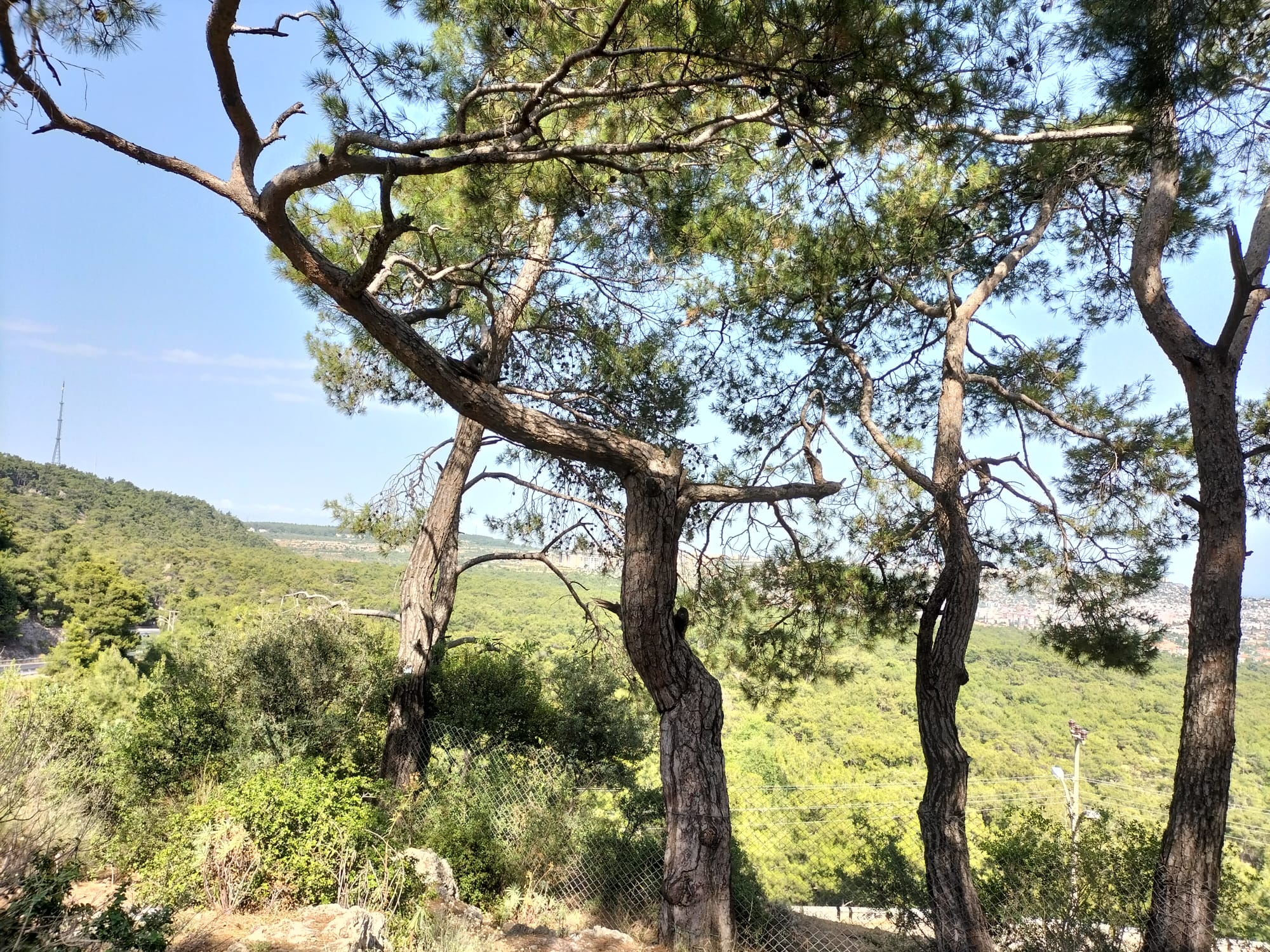 WhatsApp Image 2022-07-04 at 13.46.14 (1).jpeg