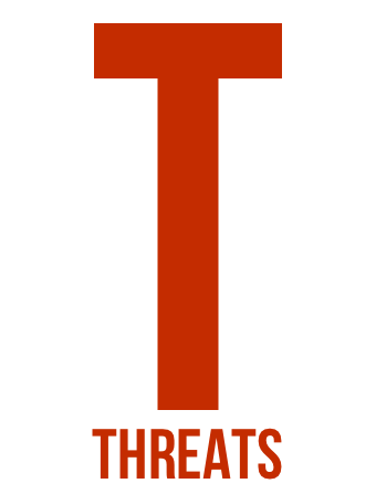 t1.png