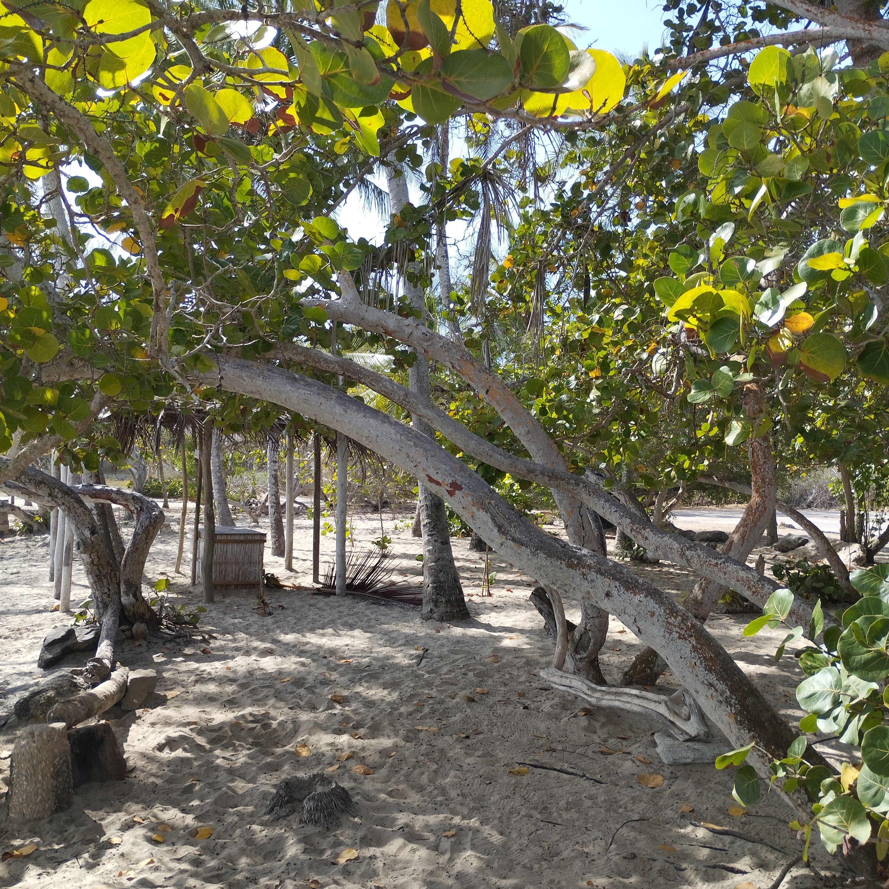 IMG_20260522_090408.jpg