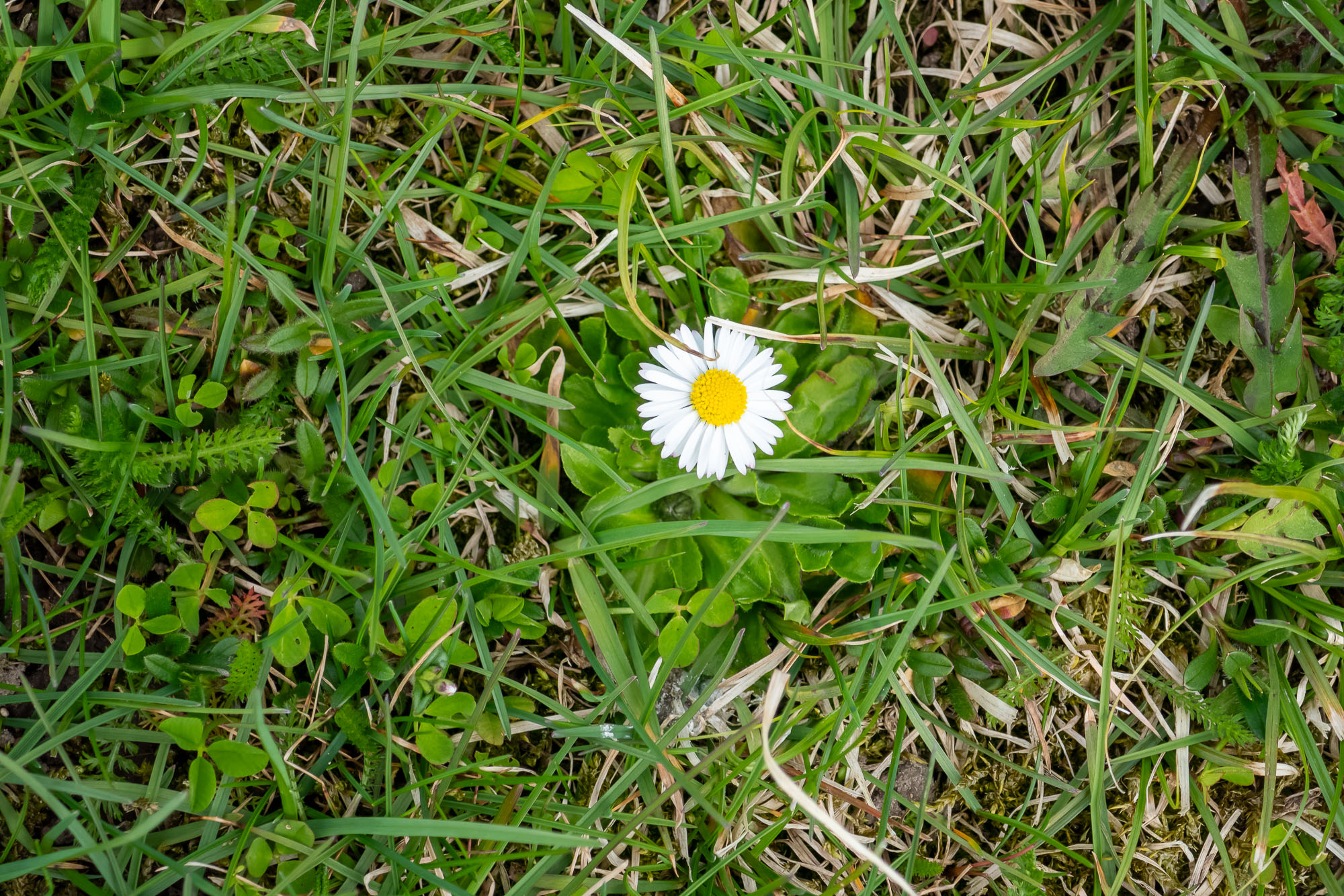 P1330090.jpg