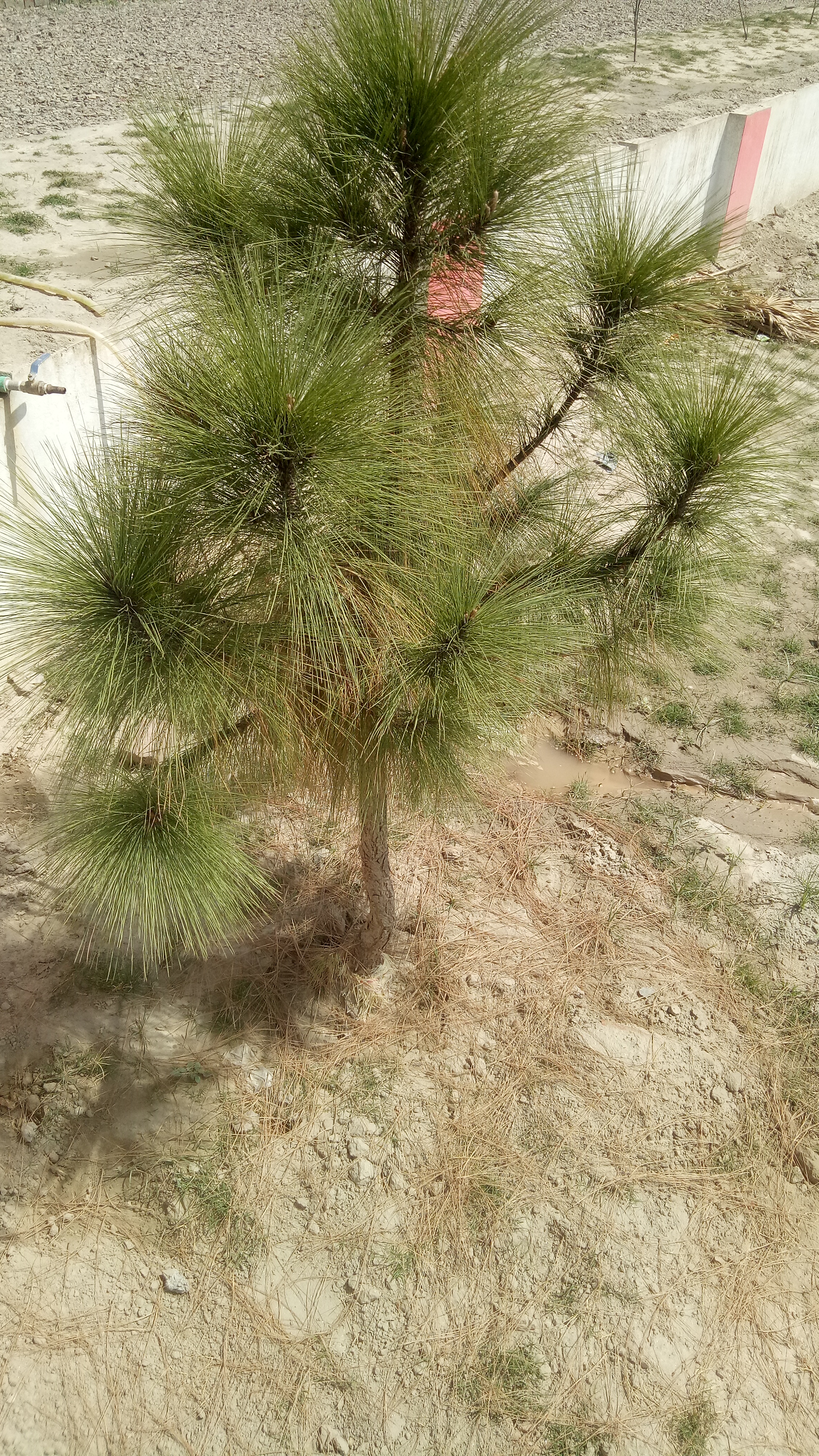 IMG20210408105239.jpg