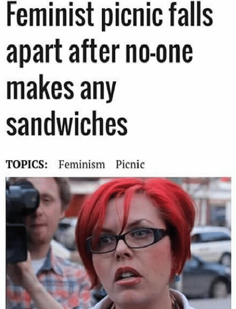 feminist-picnic-falls-apart-after-no-one-makes-any-sandwiches-topics-22730124.png
