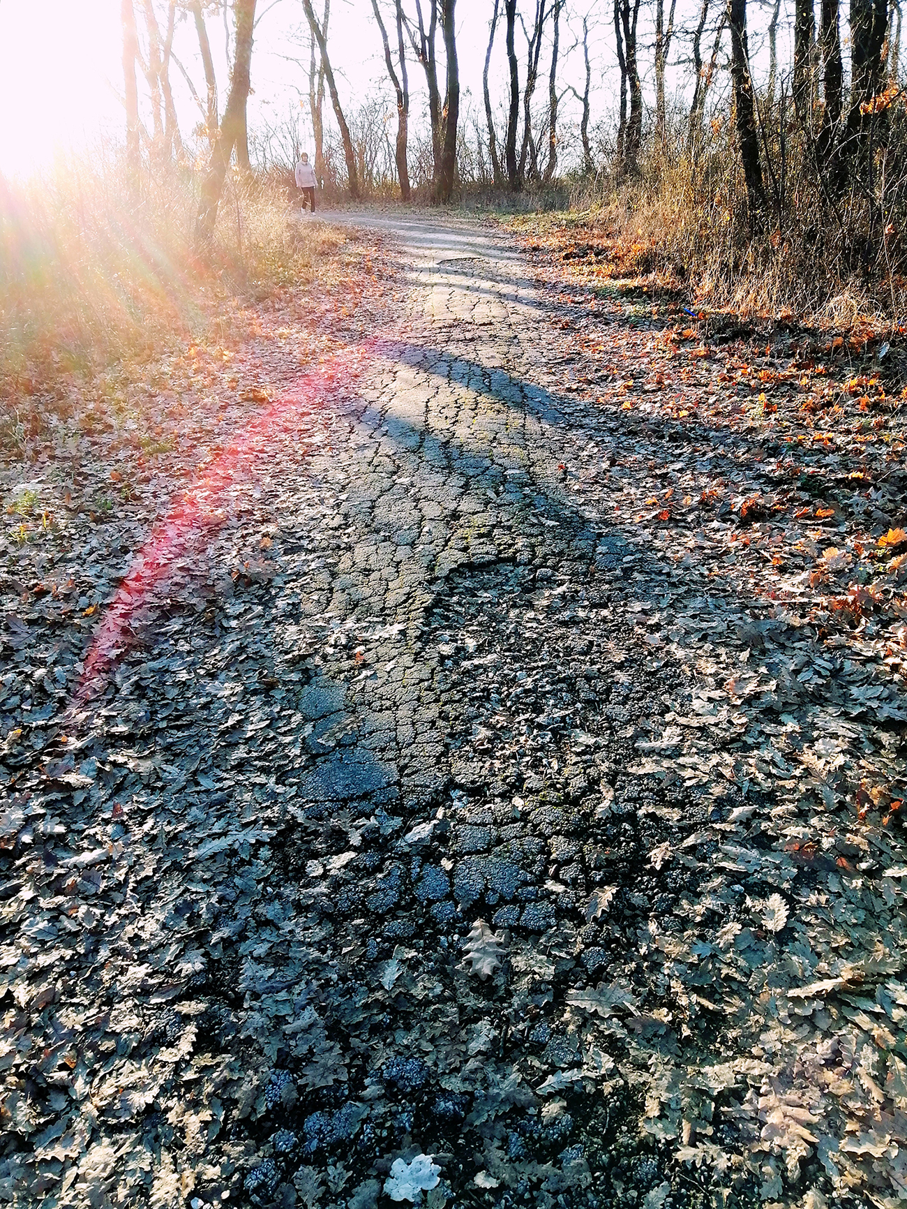 IMG_20220117_215714.jpg