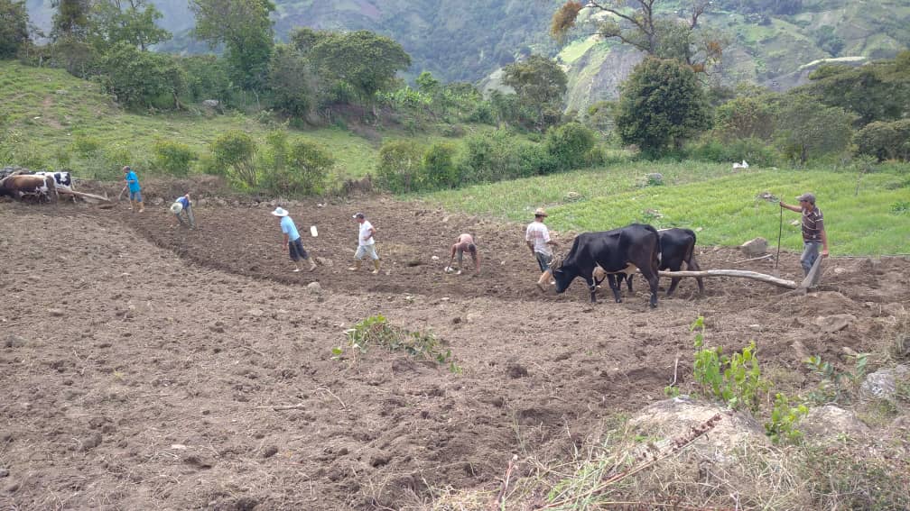 WhatsApp Image 2021-05-23 at 8.51.01 AM (1).jpeg