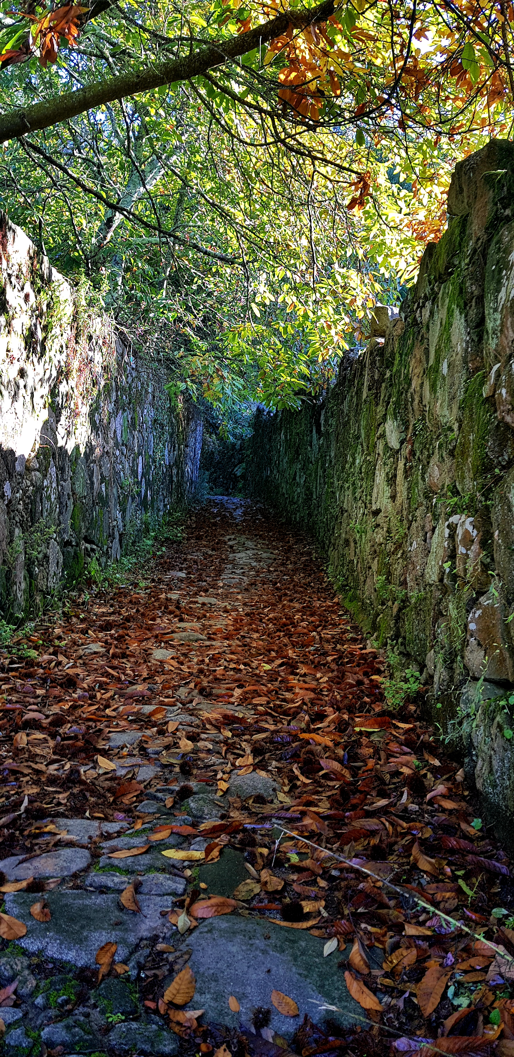 20181112_111125.jpg