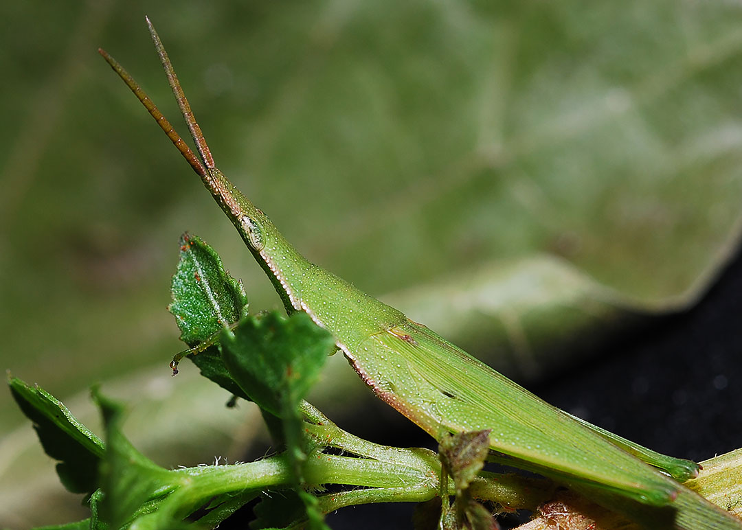 DSC_6191.jpg