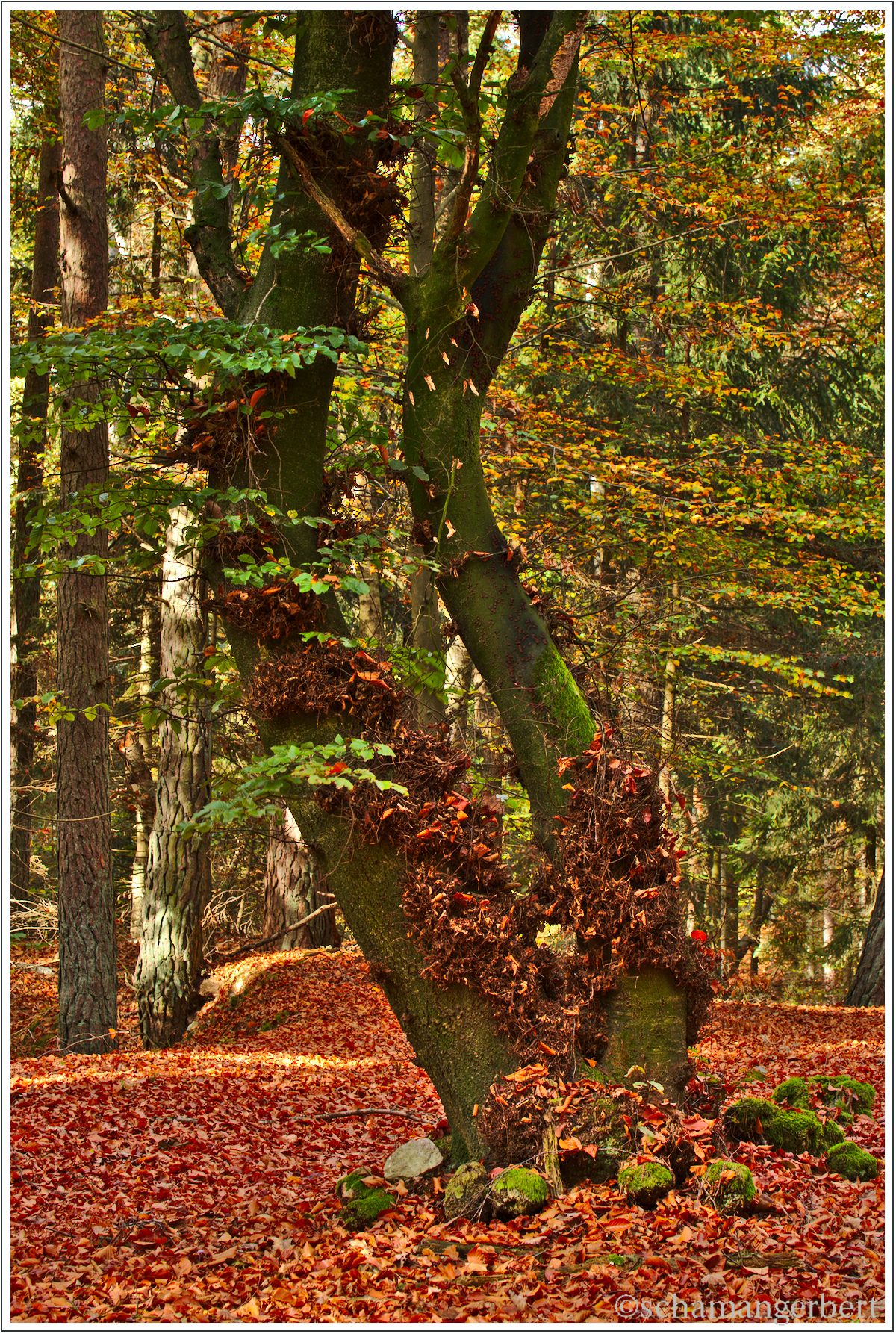 IMG_9450-hdr.jpg
