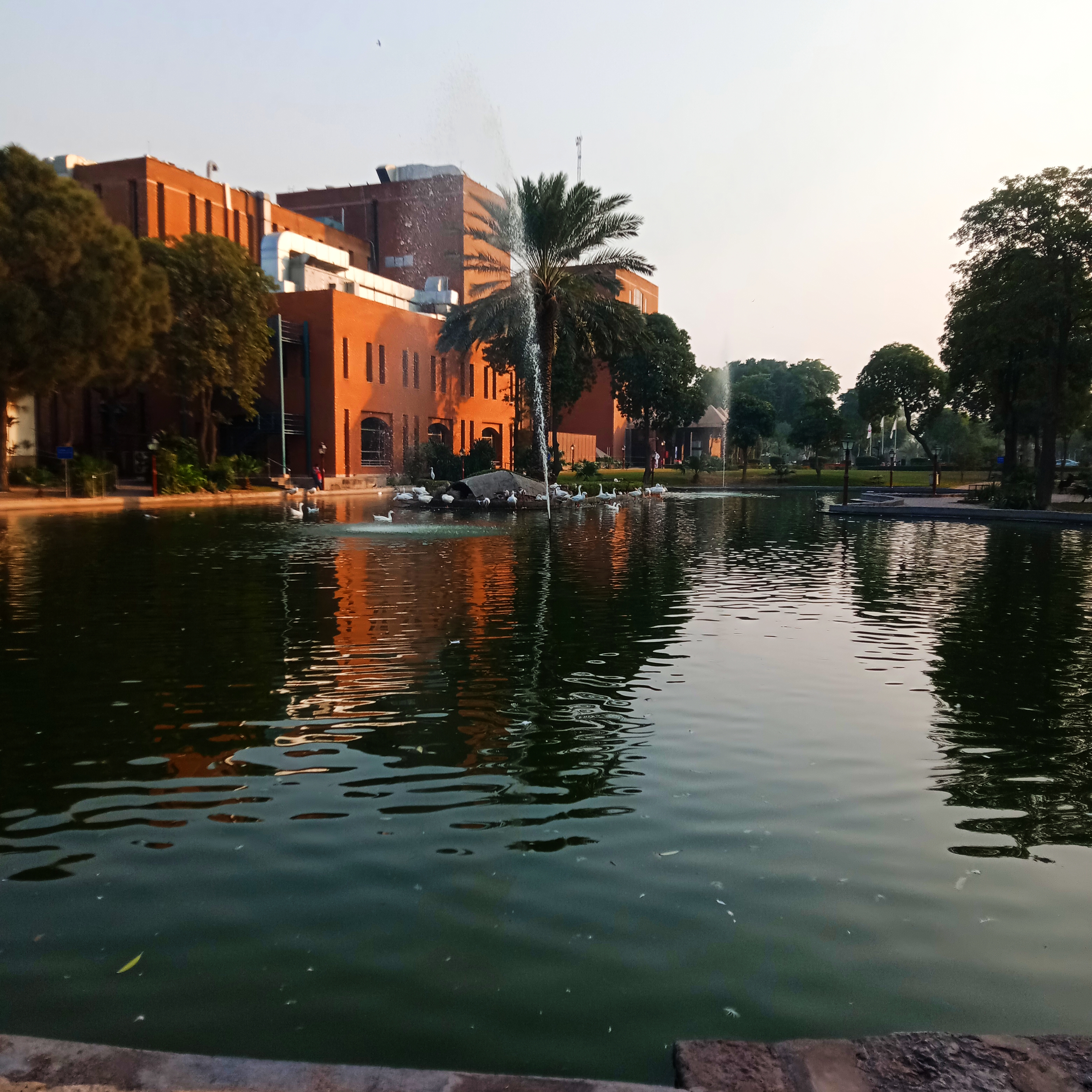 IMG_20211204_154634.jpg