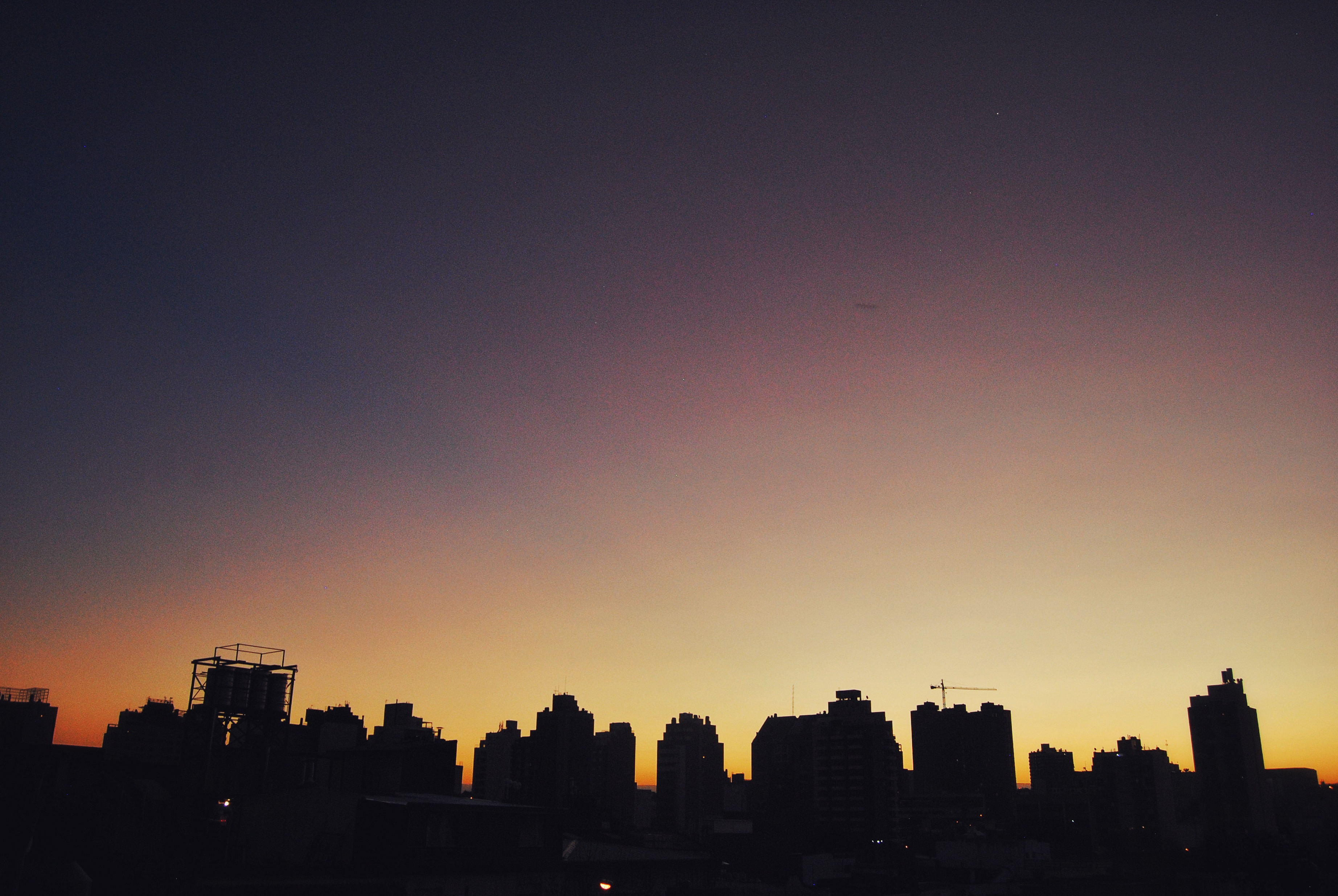 DSC_0218-01.jpeg