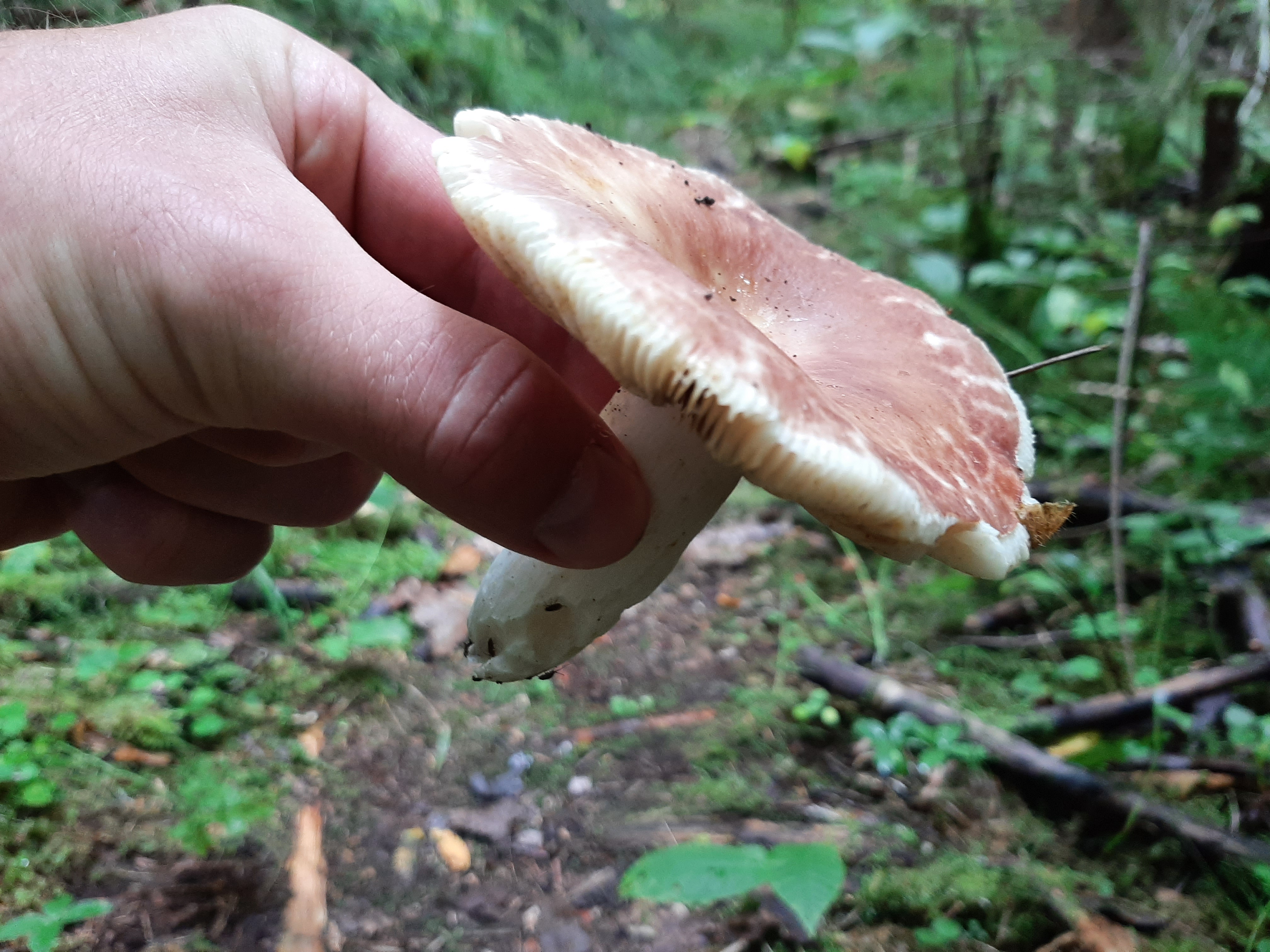 20260726_110259.jpg
