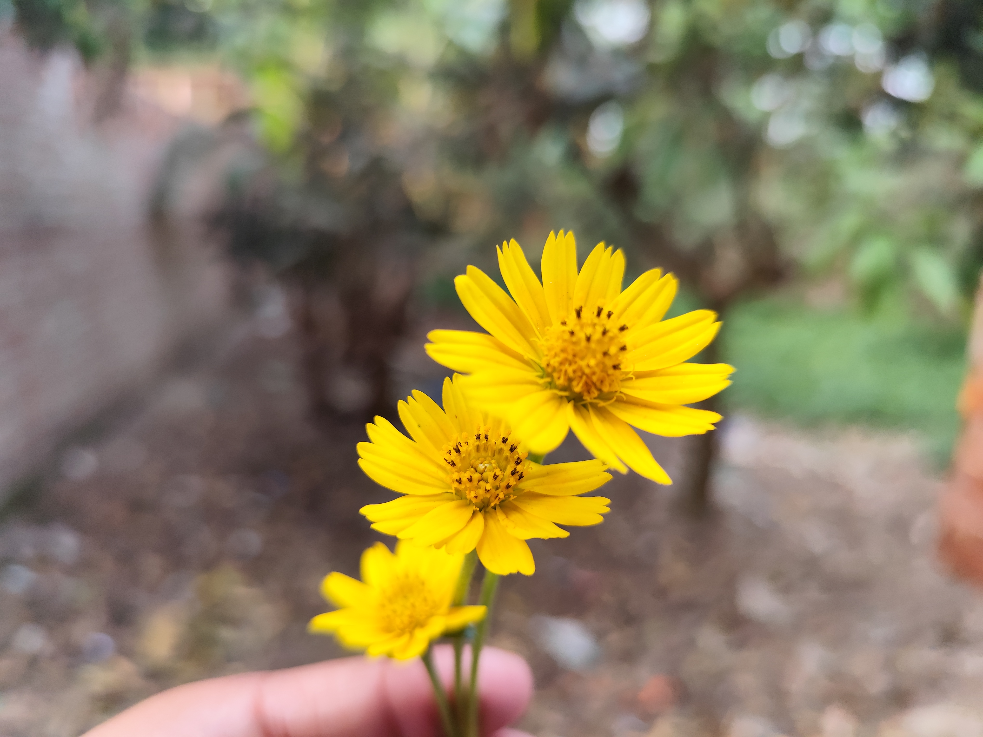 IMG_20260416_164024.jpg