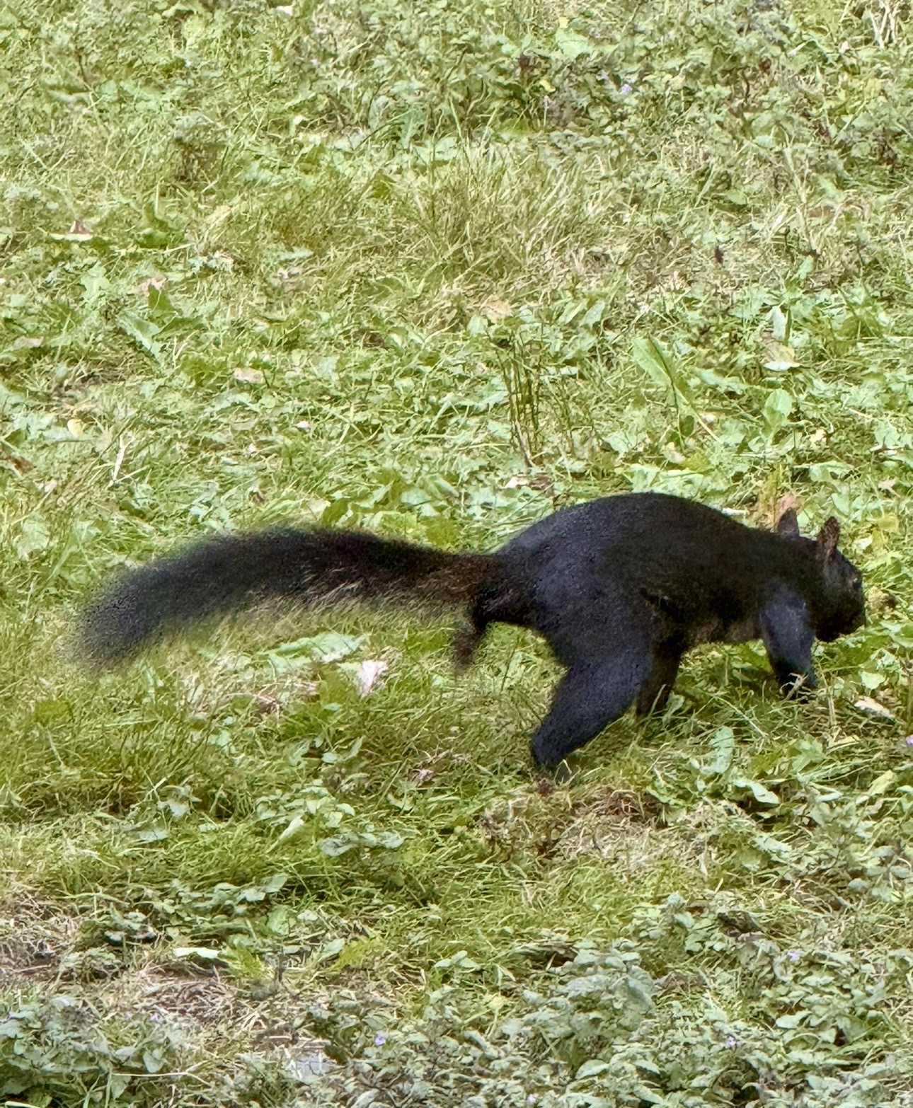 IMG_9455.jpg