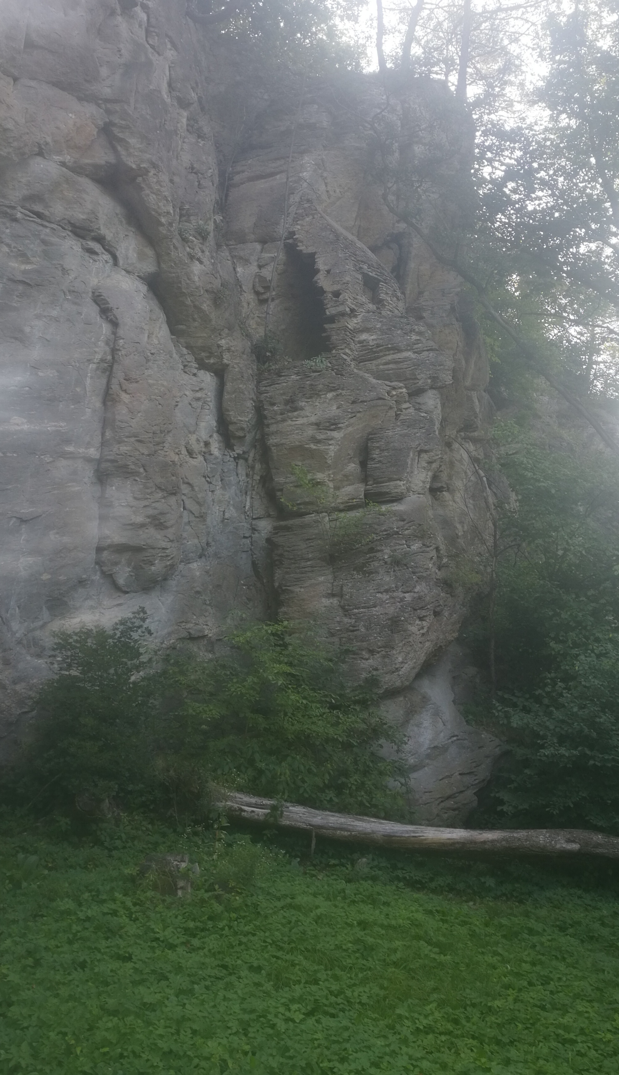 IMG_20180802_131603.jpg
