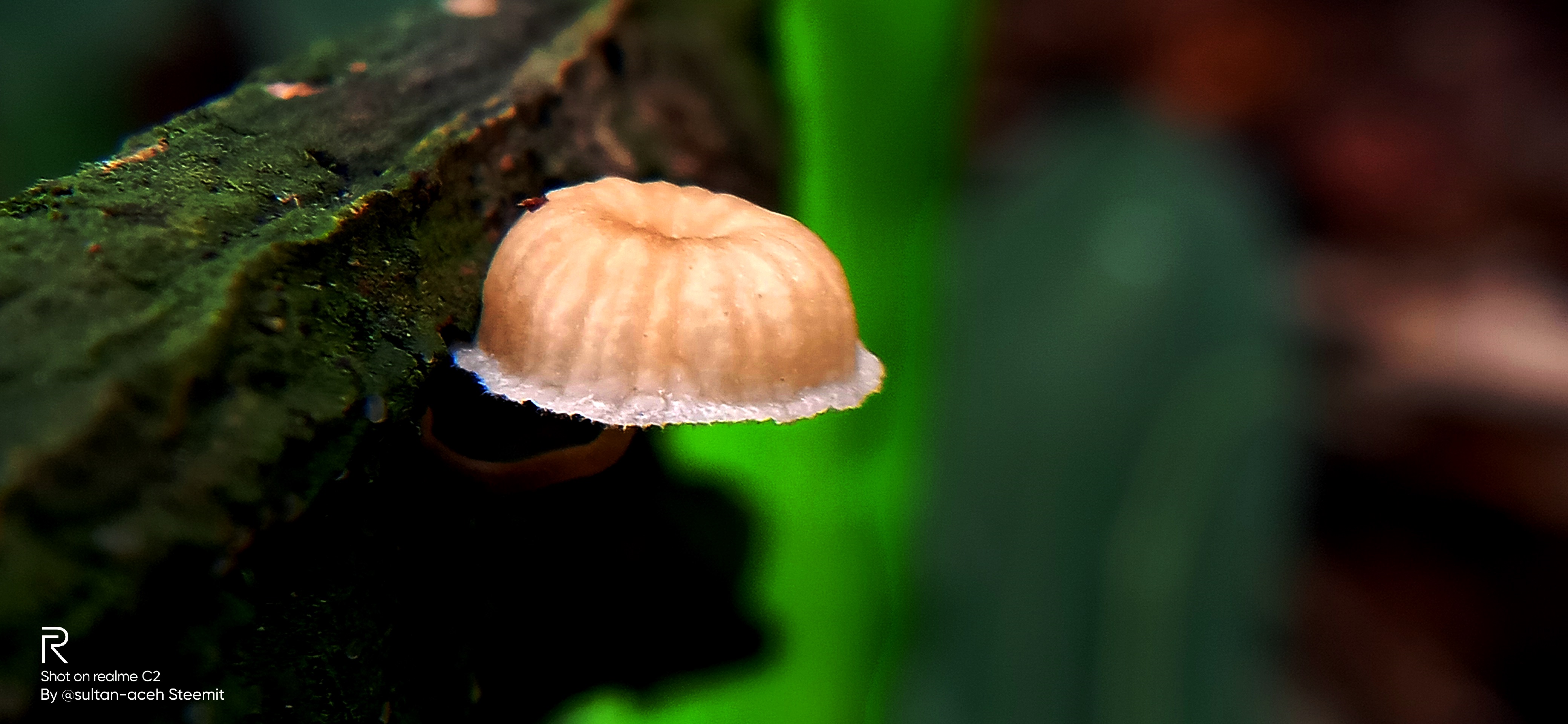 IMG20211118115421.jpg