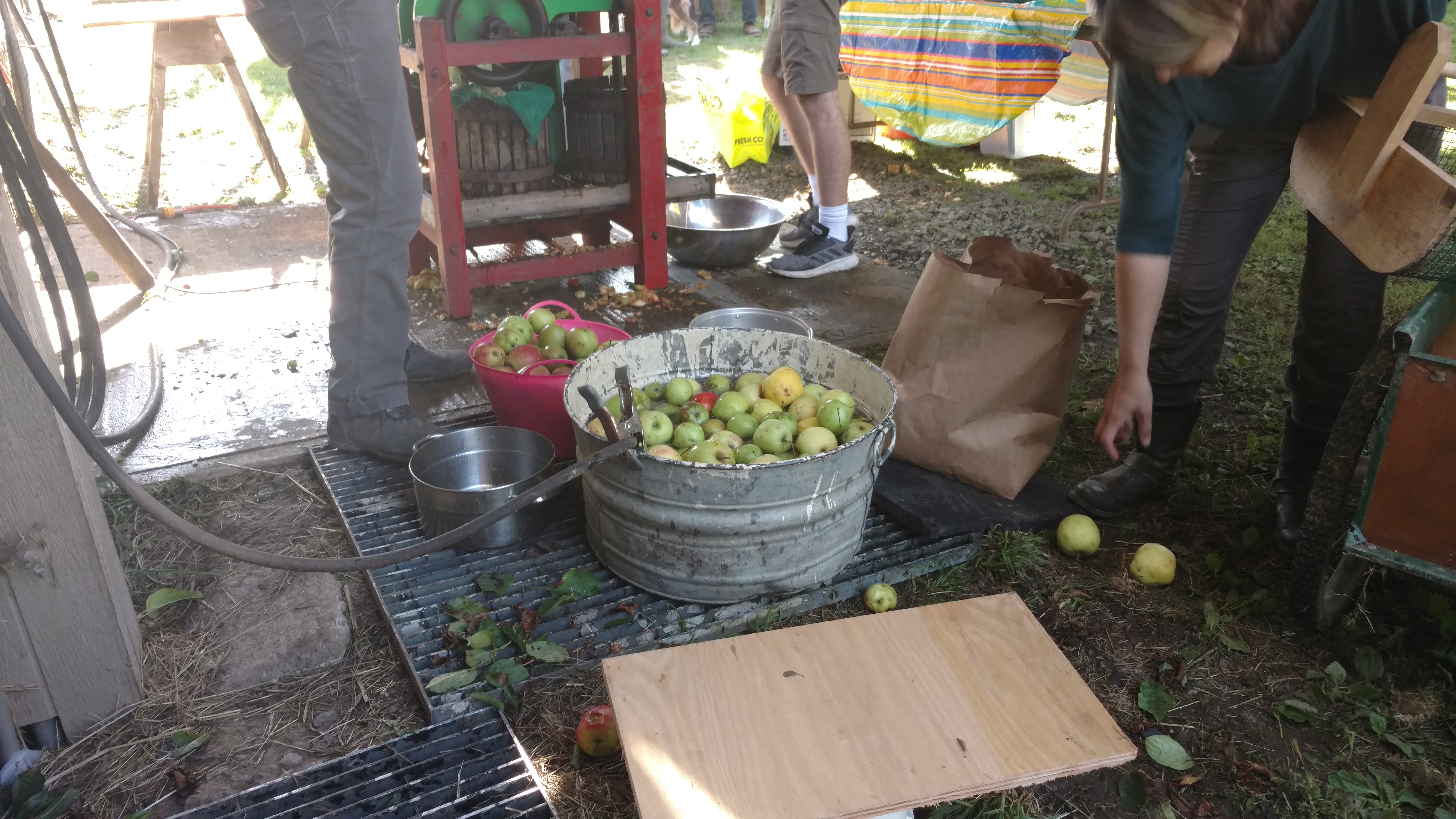 IMG_20191006_153231985.jpg