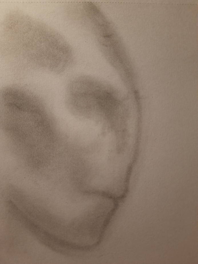 20260726_093648.jpg