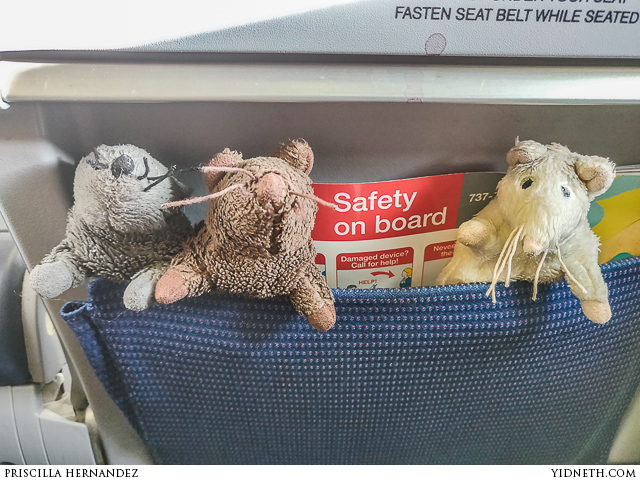 fufunchis flight - by priscilla Hernandez (yidneth.com).jpg