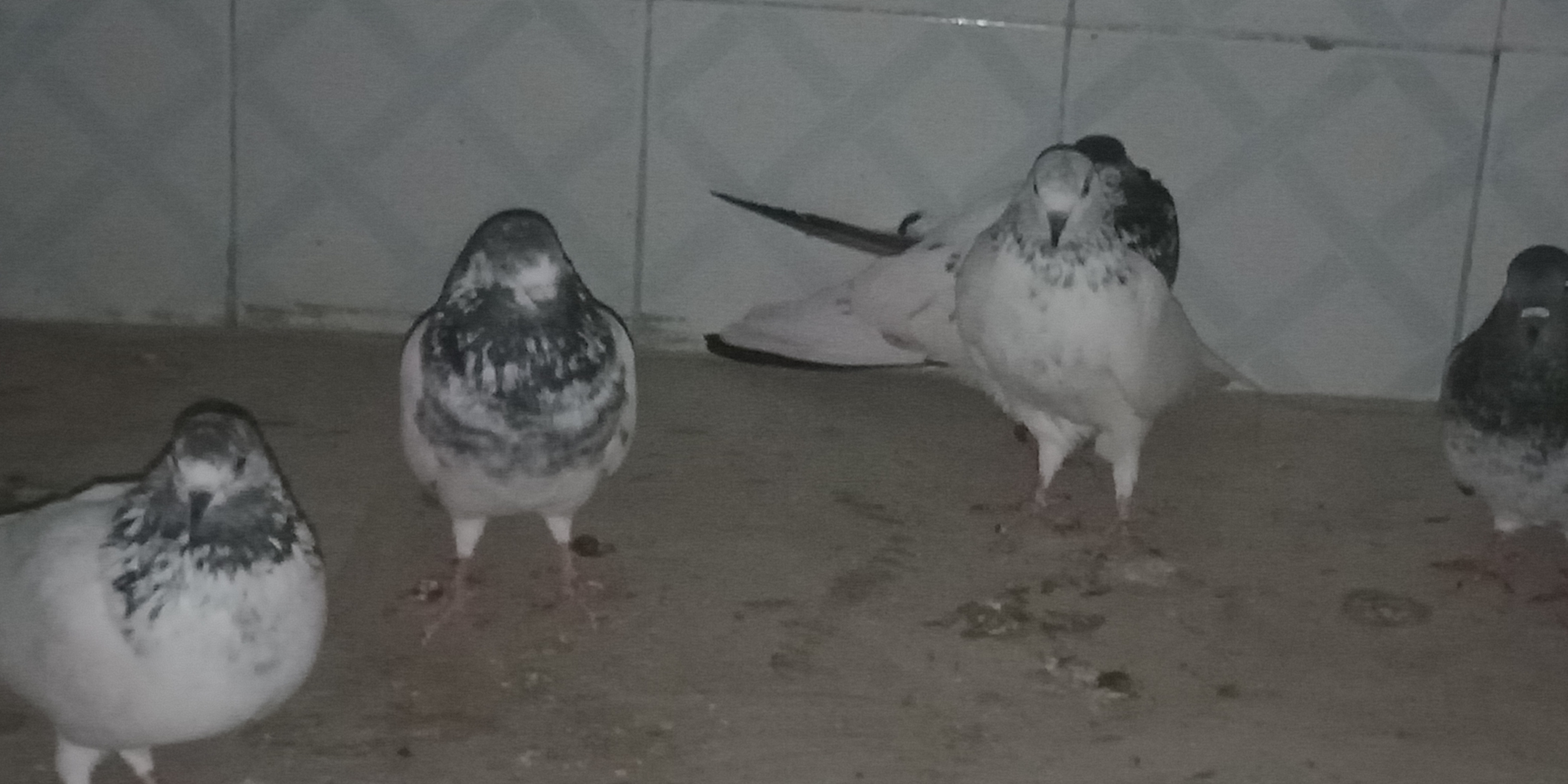 IMG20221025180517.jpg