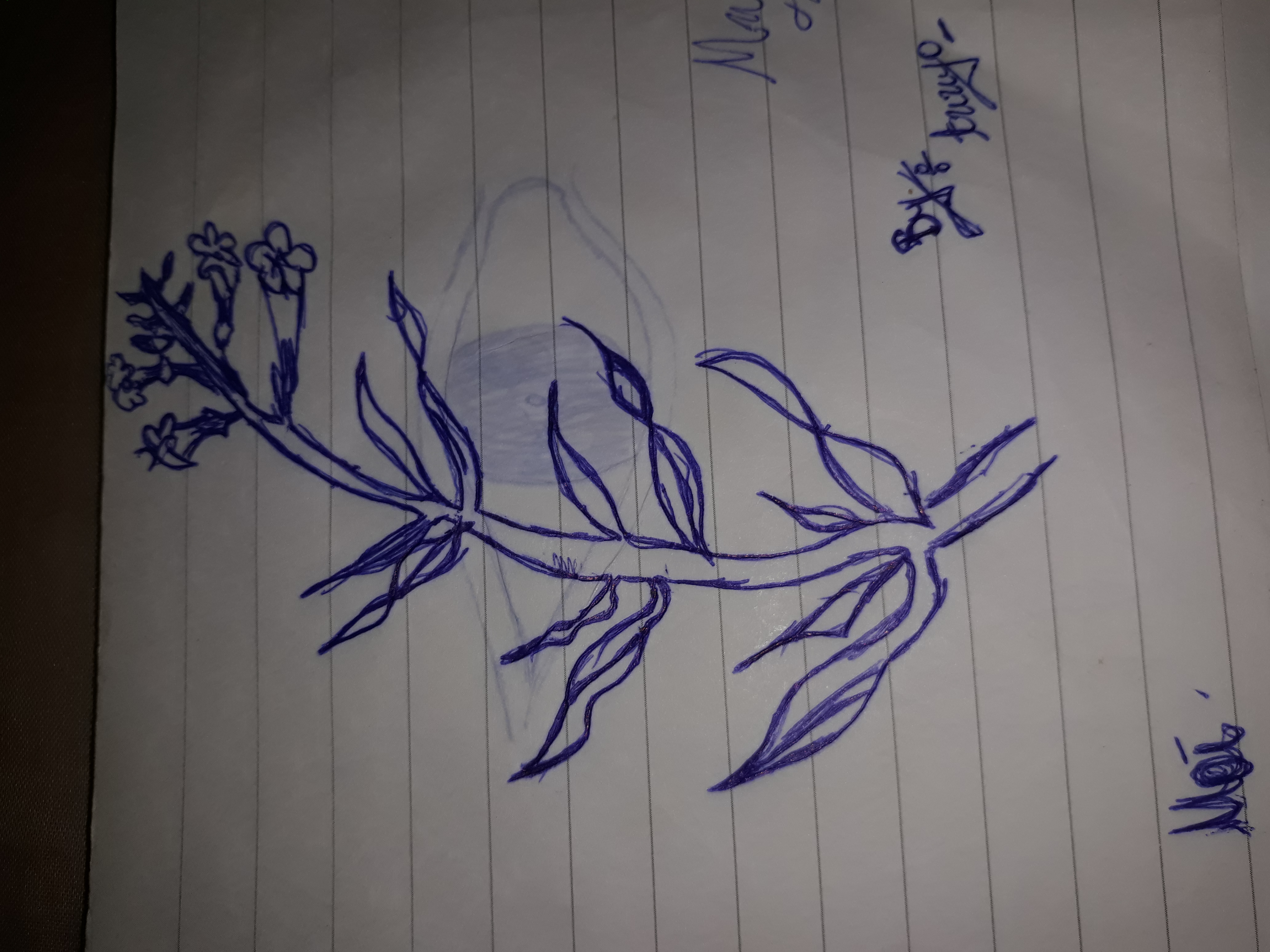 20181214_003229.jpg