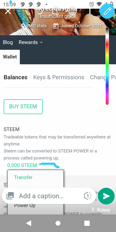 Screenshot_20211121-133150.png