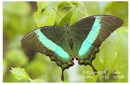 Screenshot (1019).png