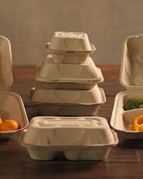 Compostable Foodservice Packaging.jpg