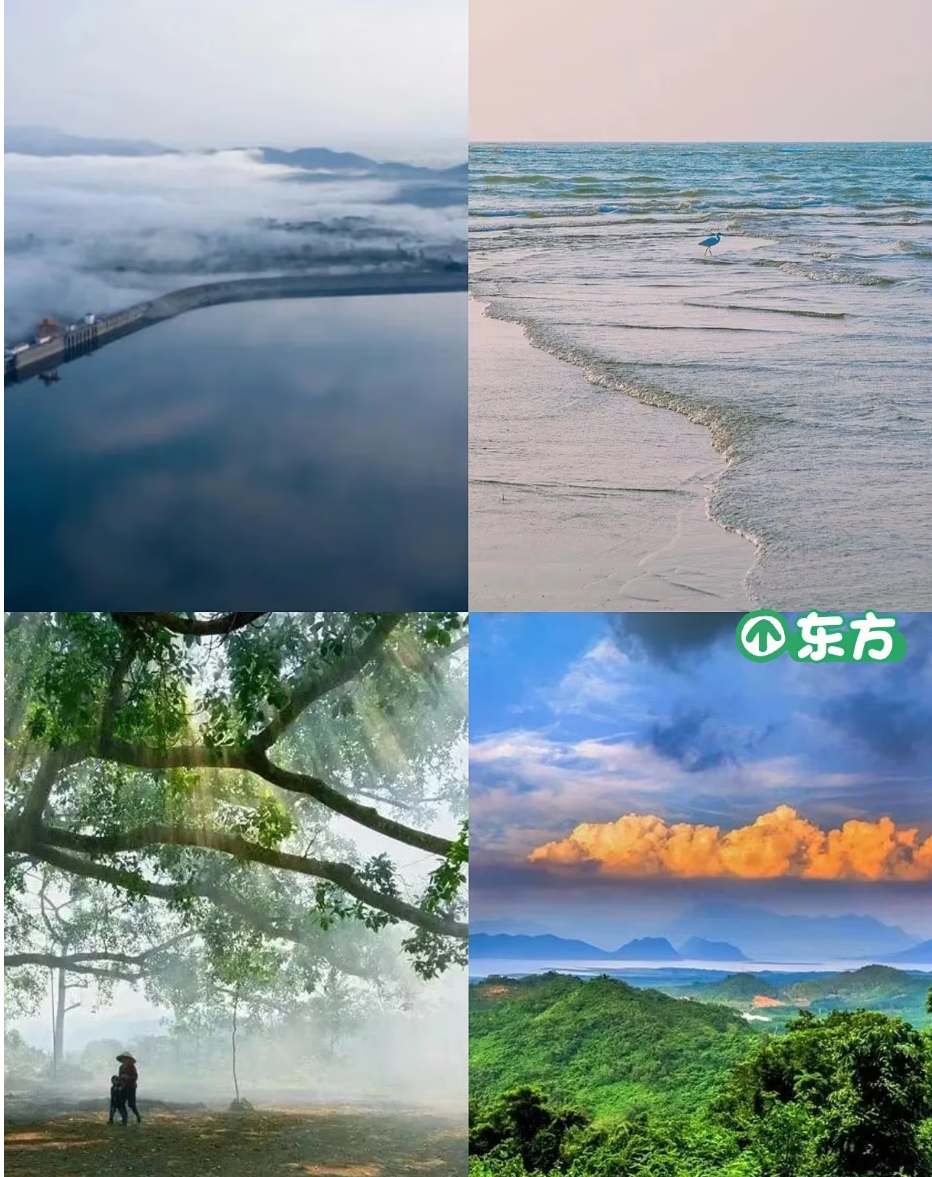 30ba235492c86060c2f1a9157831c62.png