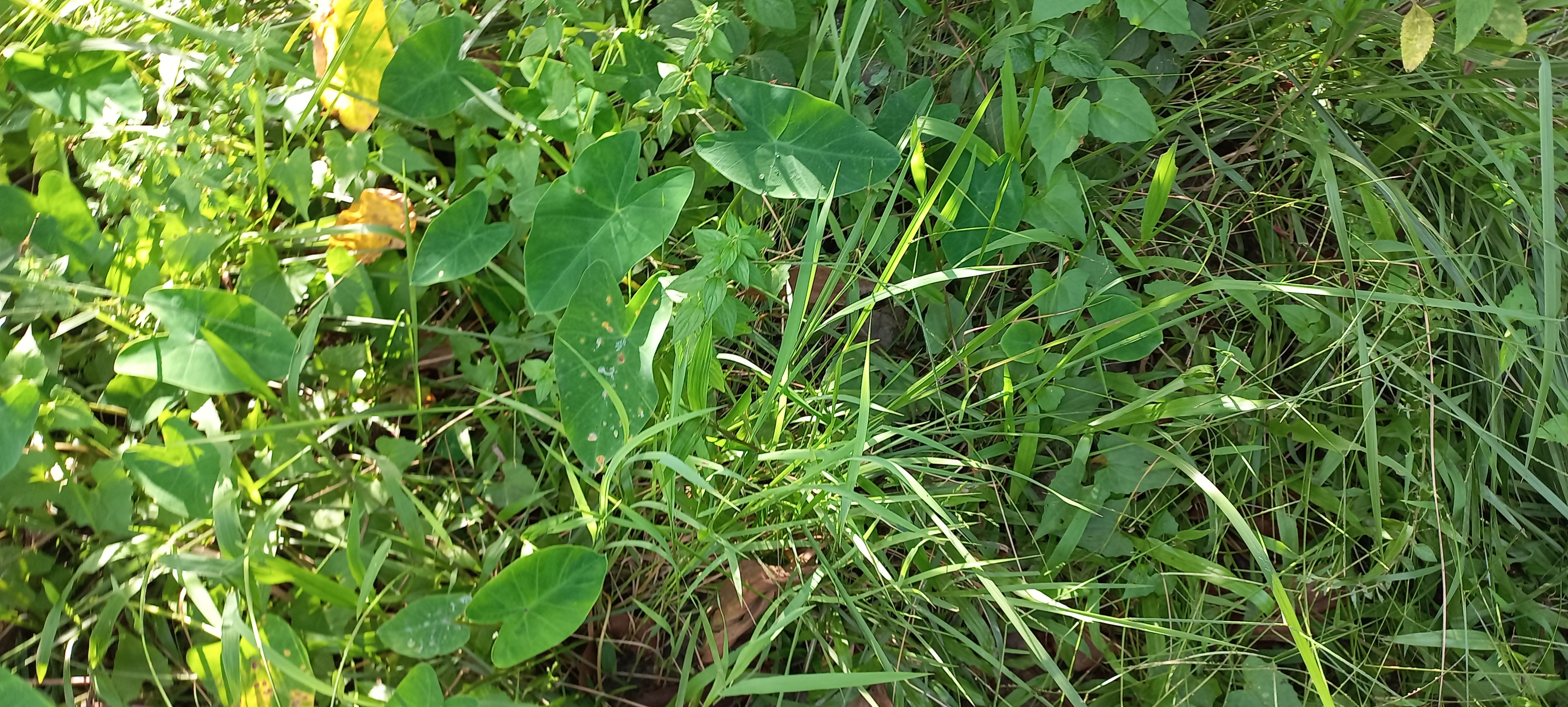 20220915_154124.jpg
